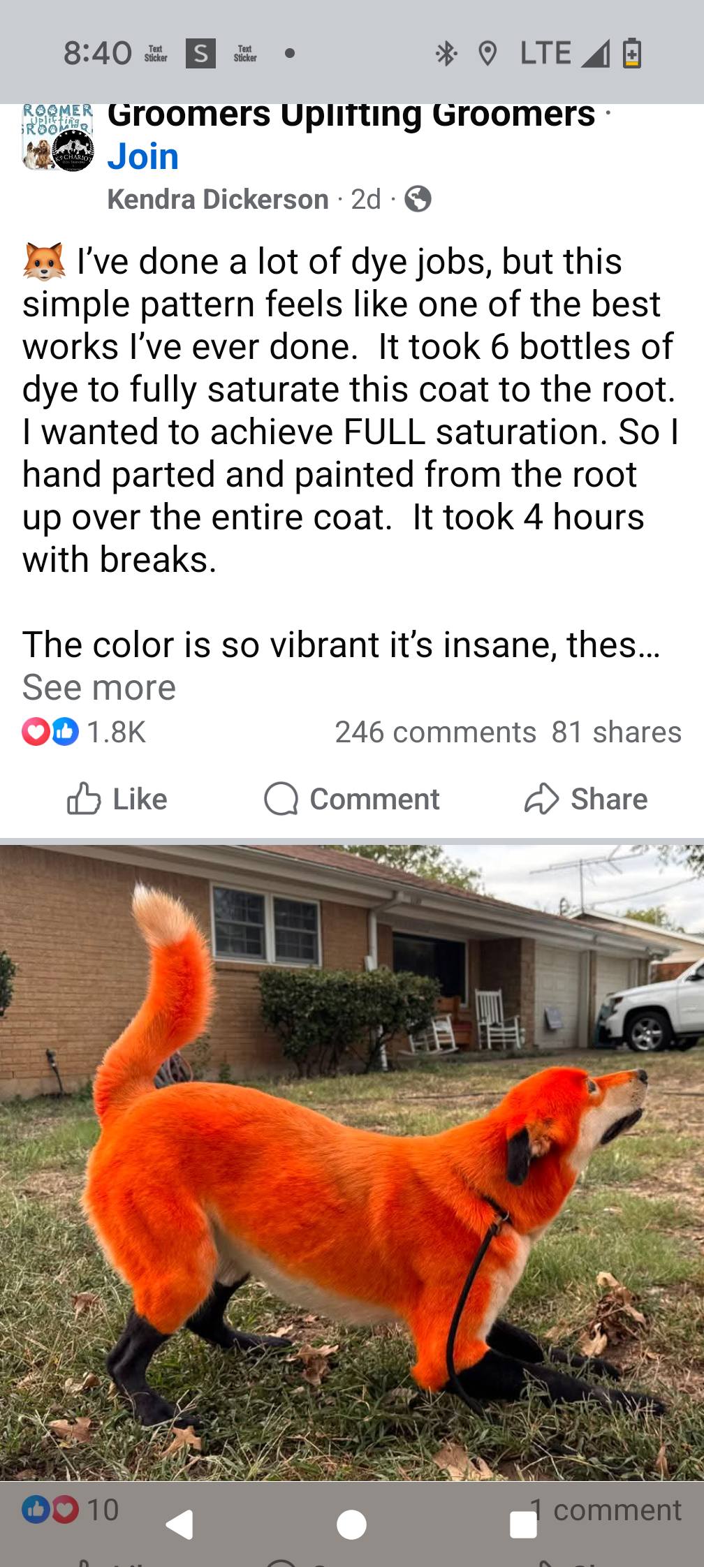 Just-B-Paws Frankfort