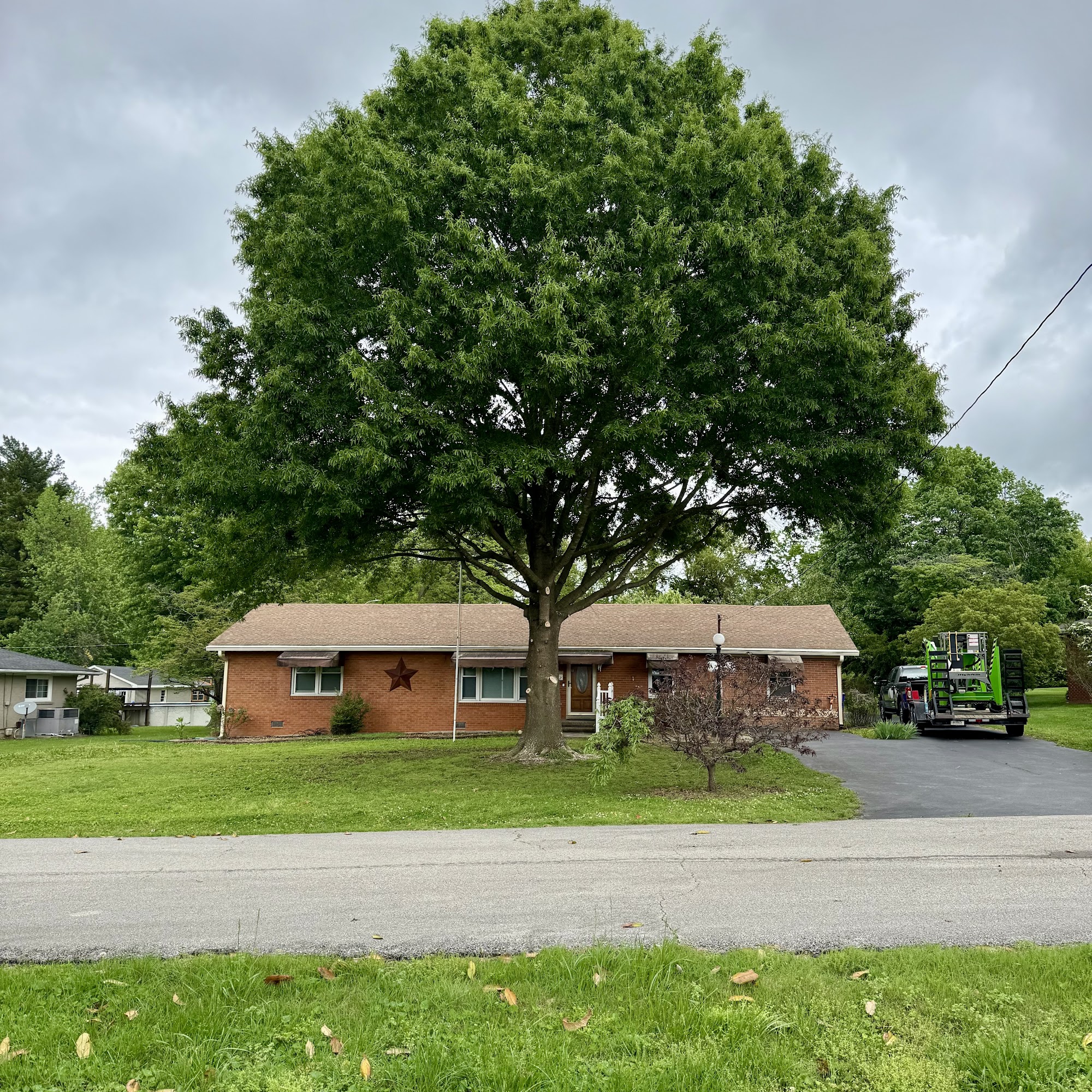Graves Tree Service 232 Chaney Rd, Franklin Kentucky 42134