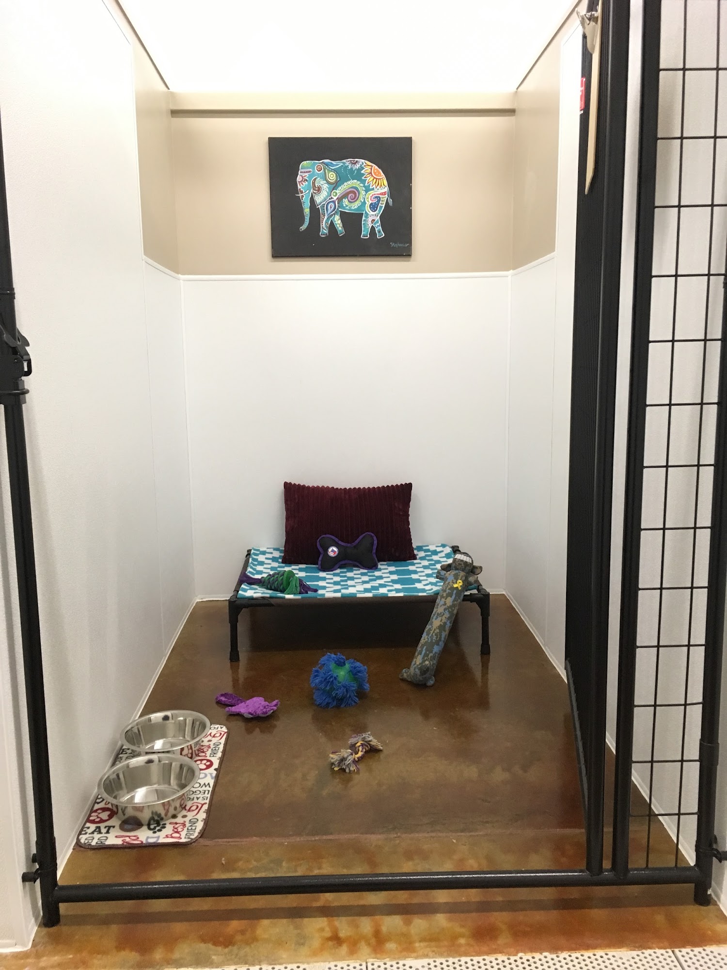 Central Kentucky Pet Resort Georgetown