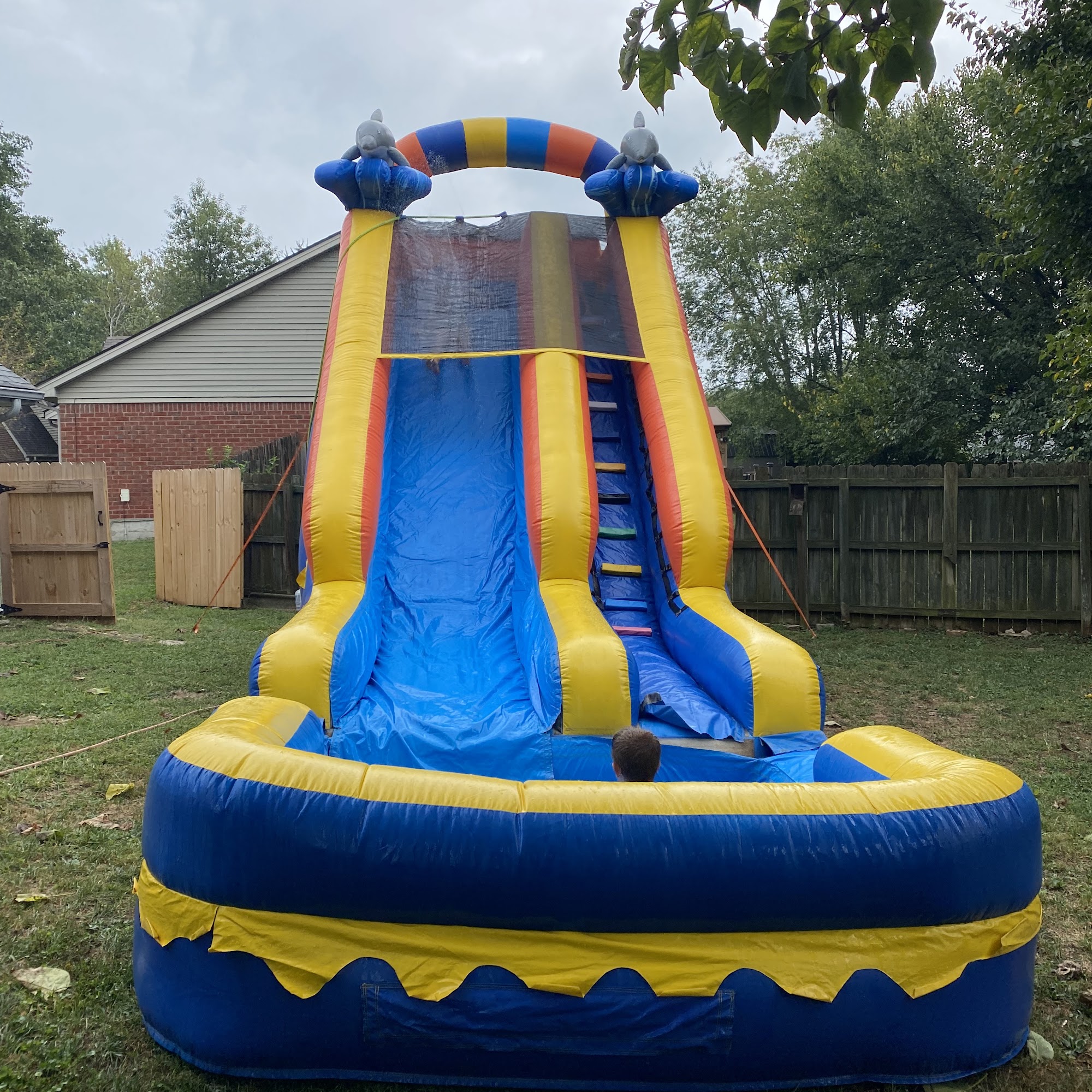Bluegrass Party Rental 186 Alamo Dr, Georgetown Kentucky 40324
