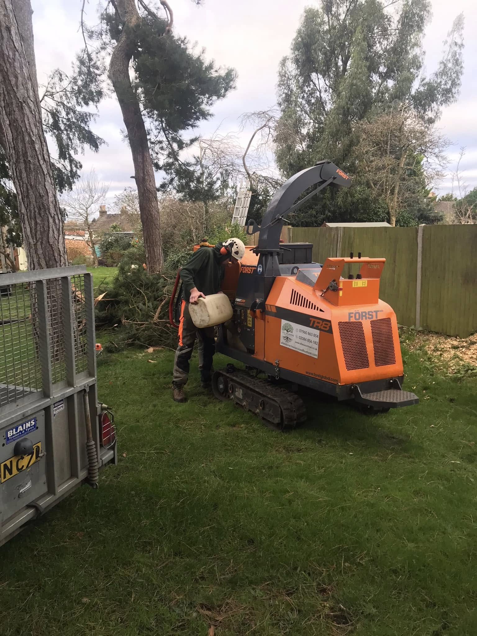 All Seasons Tree Services