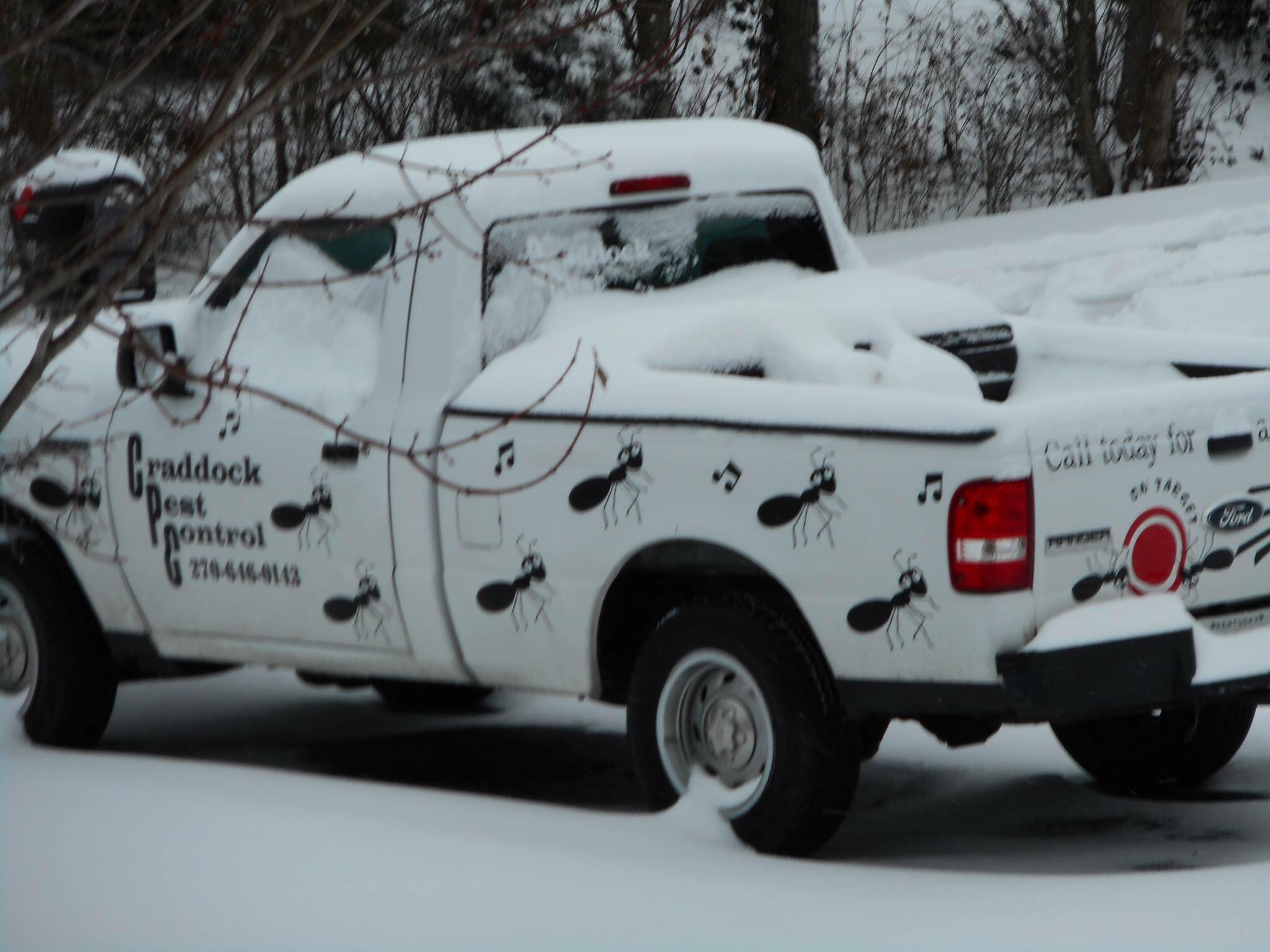 Craddock Pest Control