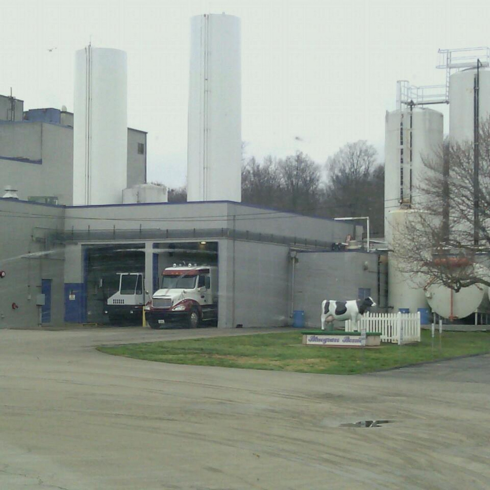 Bluegrass Ingredients - Glasgow Glasgow