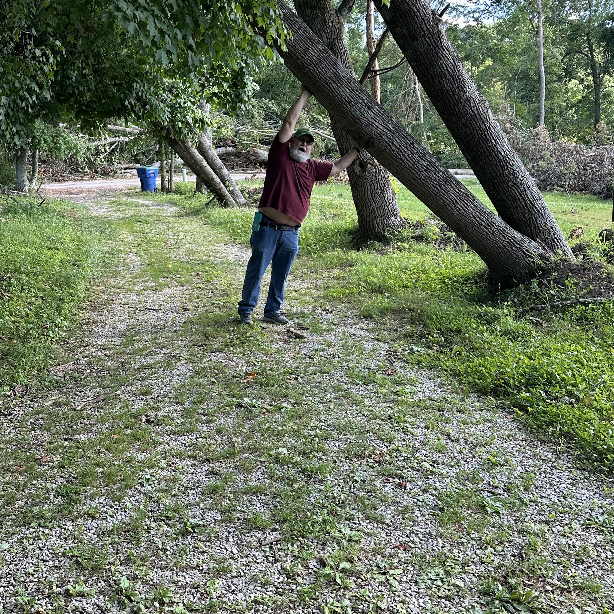 Affordable Tree Services