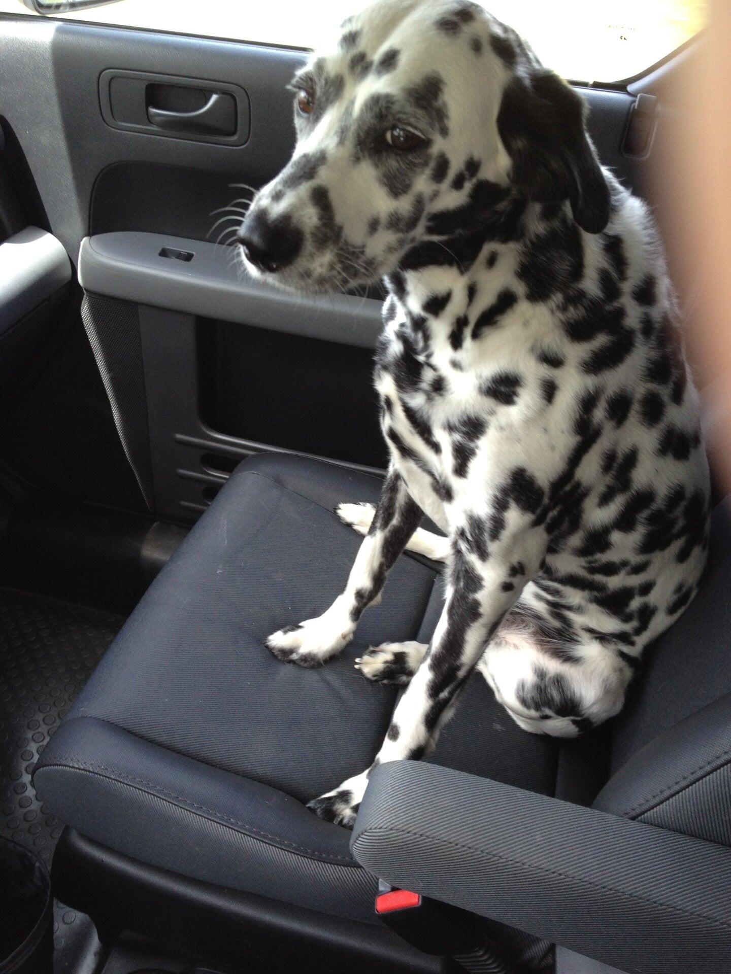 Photo credit: nextdoor