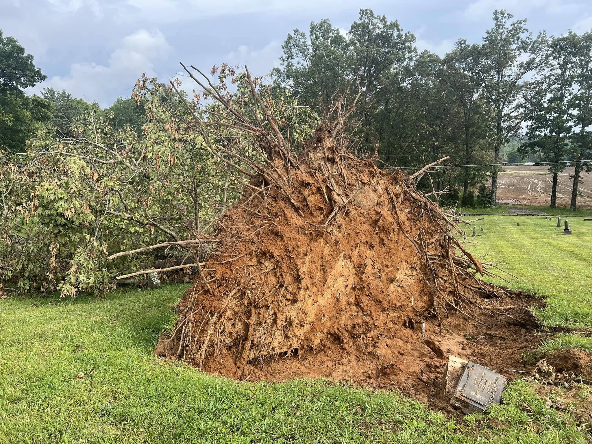 Jarvis Tree Service 1140 Mc Nary Rd, Graham Kentucky 42344