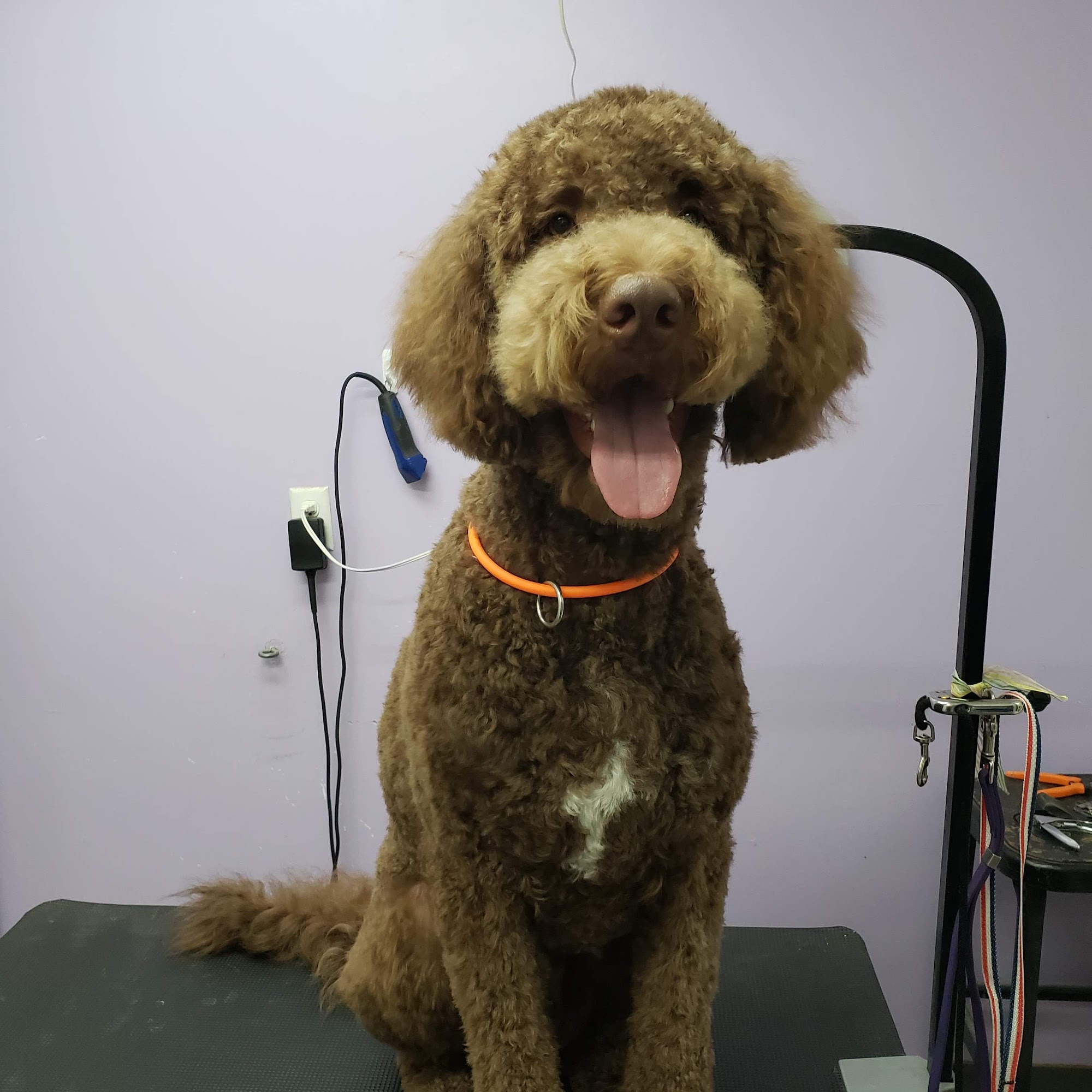 Bluegrass Animal Hospital Harrodsburg