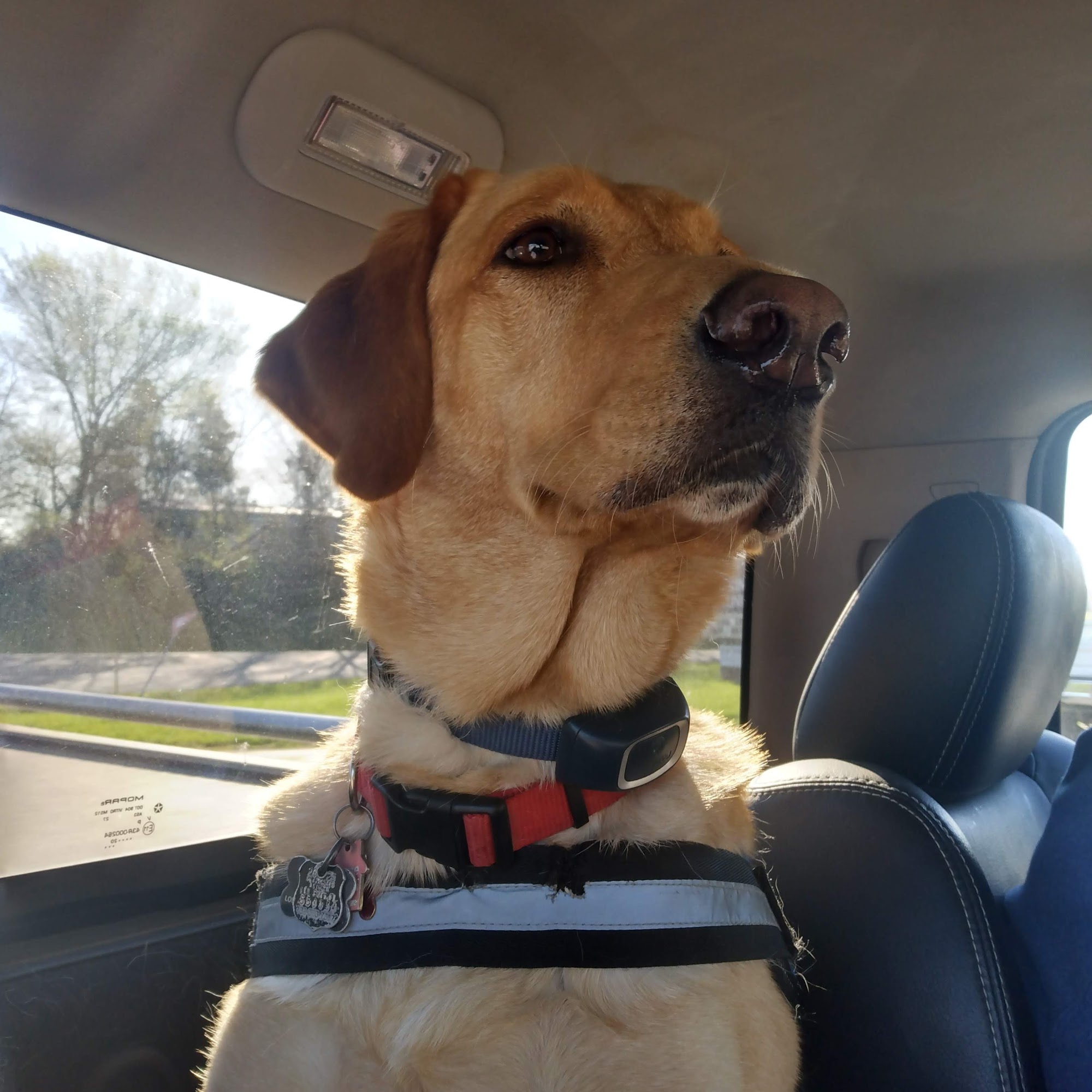 Rough River Veterinary Clinic Hartford