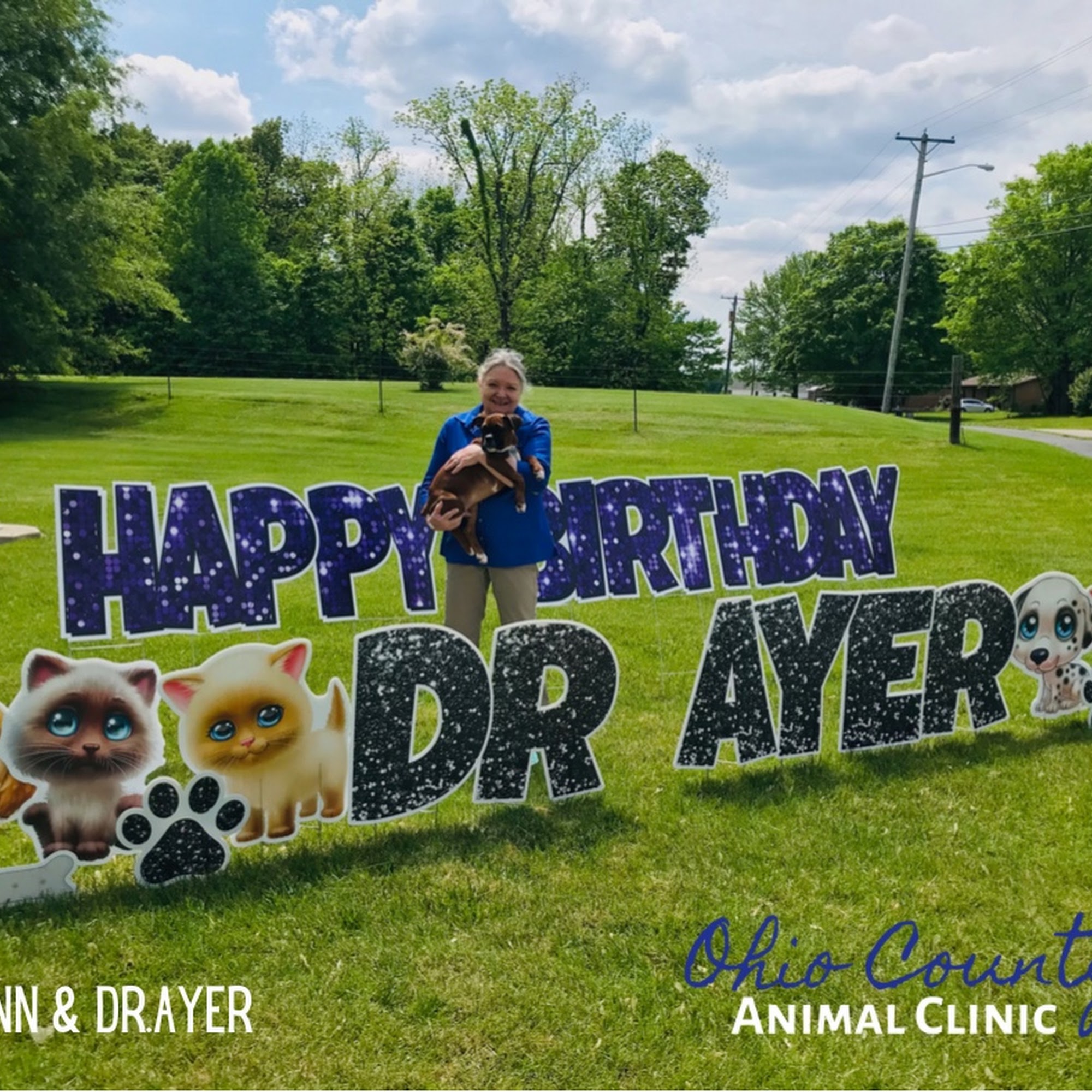 Ayer Ann a DVM Hartford