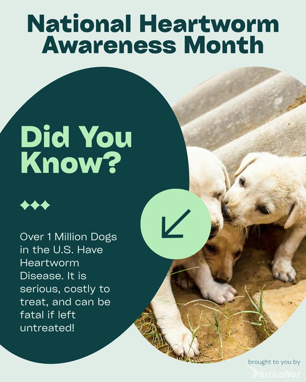 Veterinary Medical Center Henderson