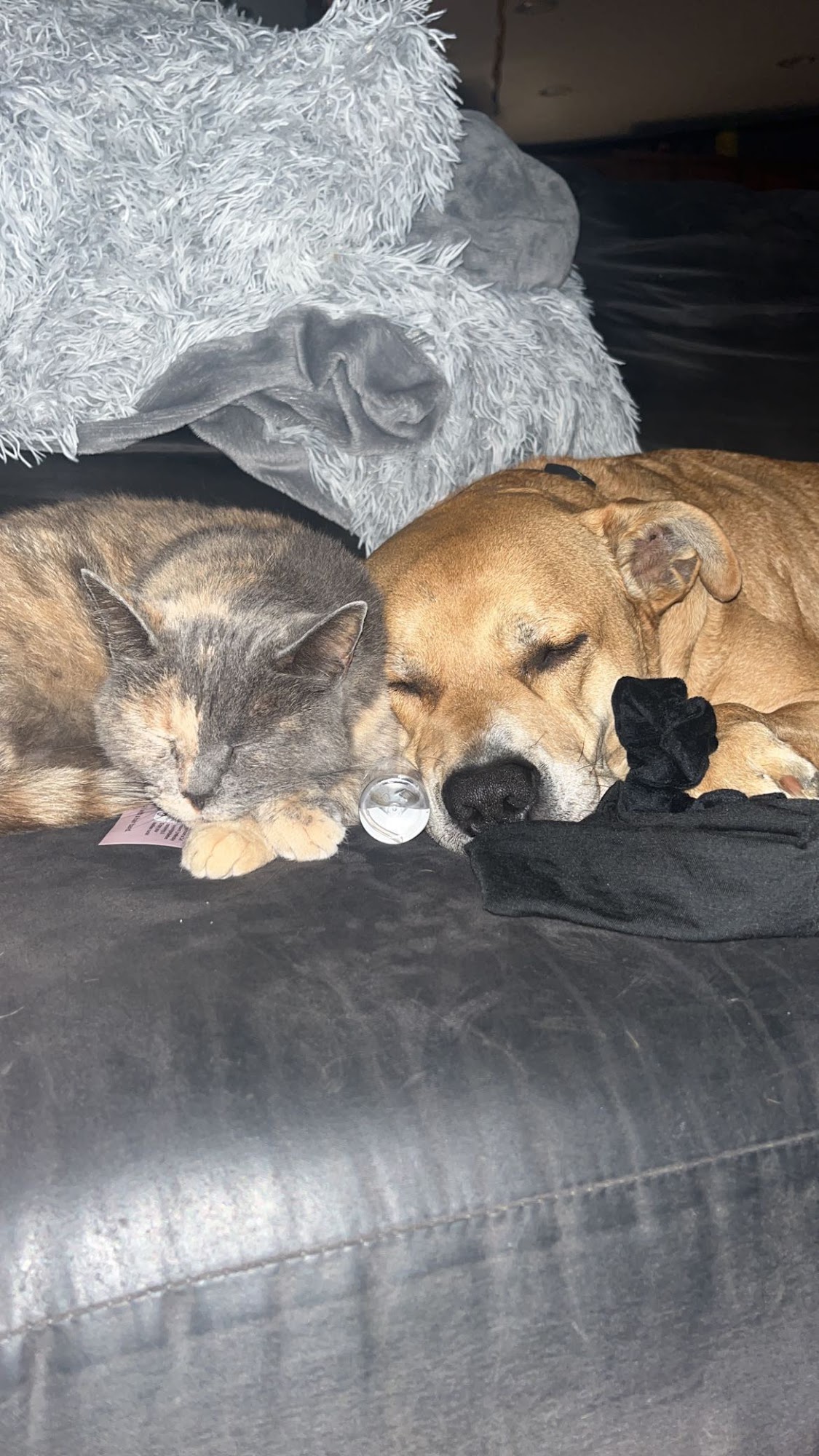 Jamie Alka Henderson