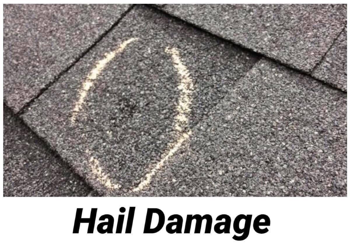 Gilford & Son Roofing