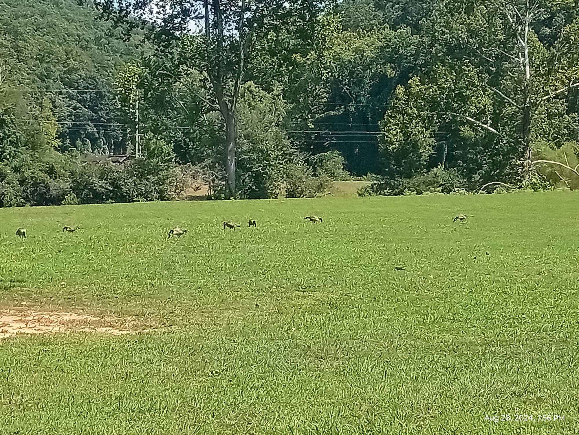 Juniper Health Breathitt County