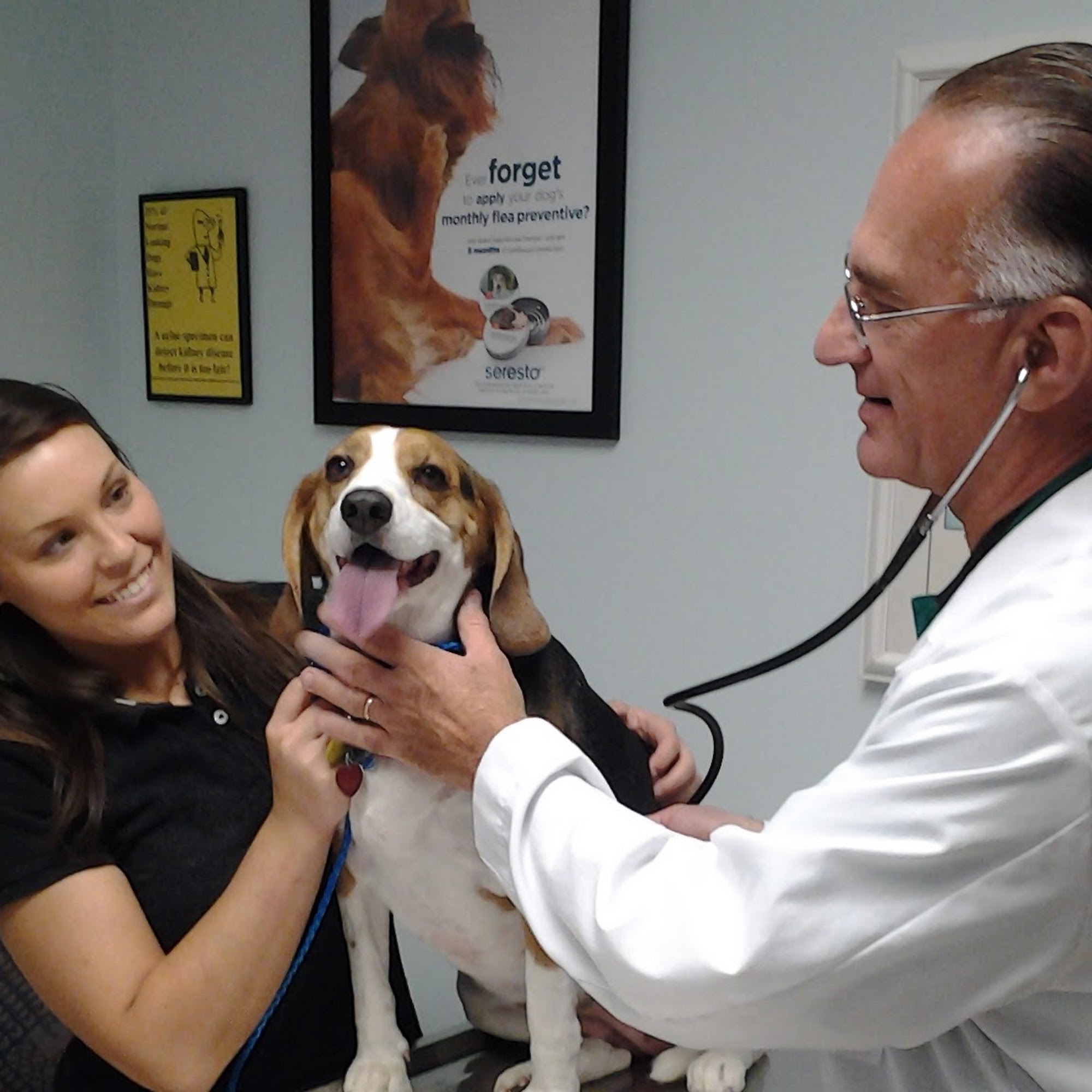 Countryside Animal Hospital: La Grange Veterinarian La Grange