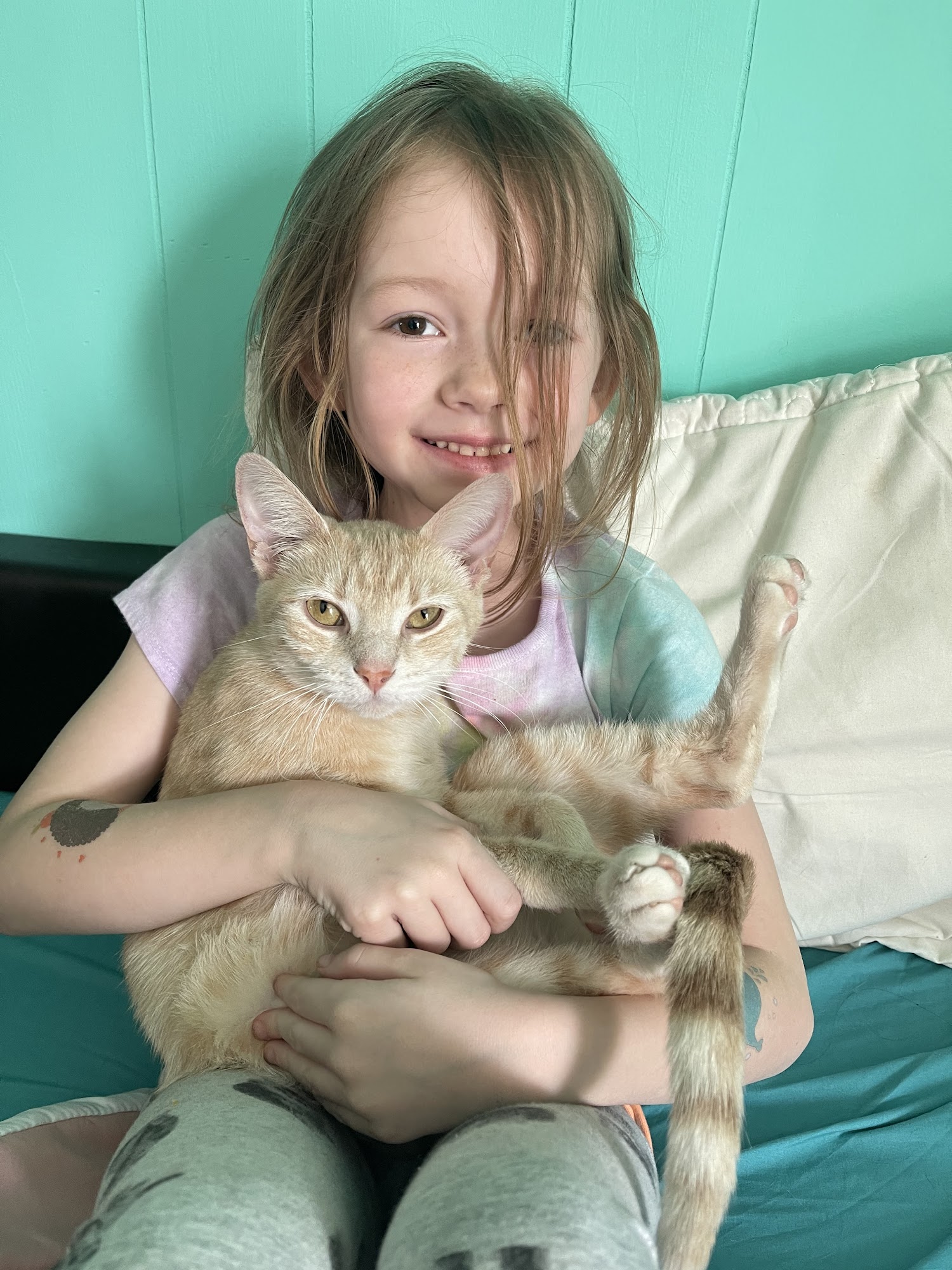 Lancaster Veterinary Hospital Lancaster