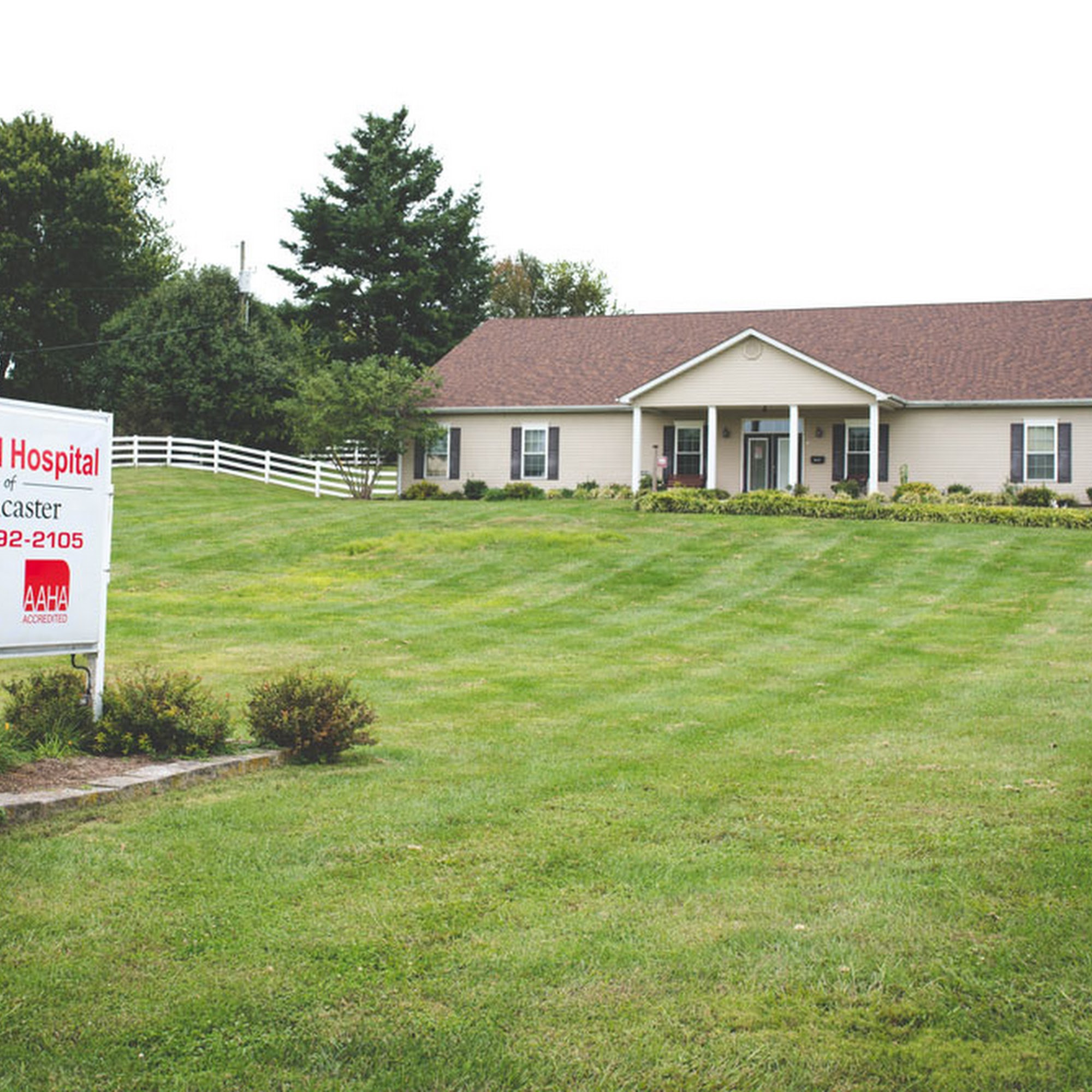 Lancaster Veterinary Hospital Lancaster