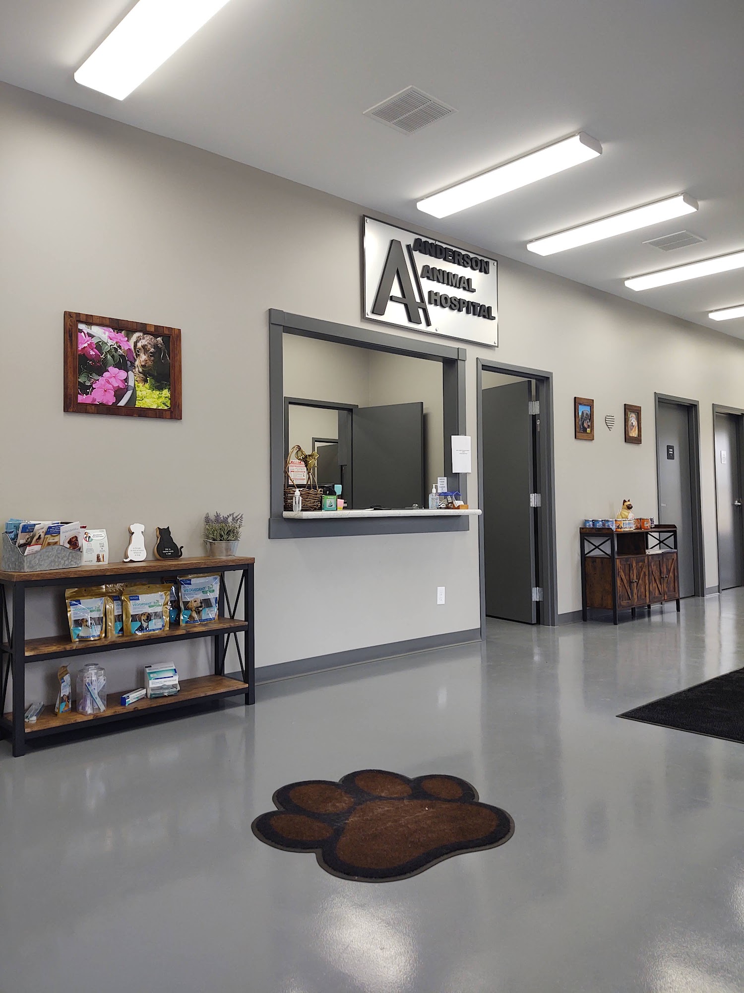 Anderson Animal Hospital Lawrenceburg