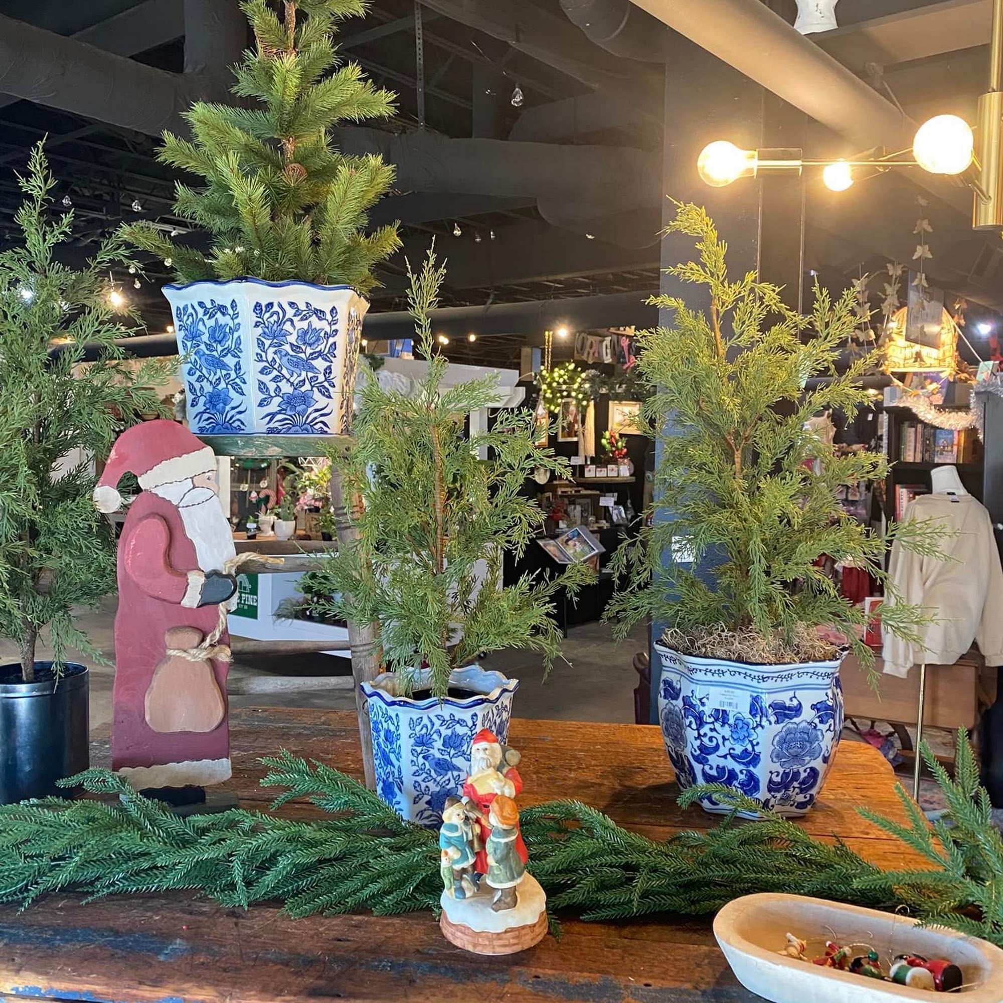 the rabbit hole Leitchfield