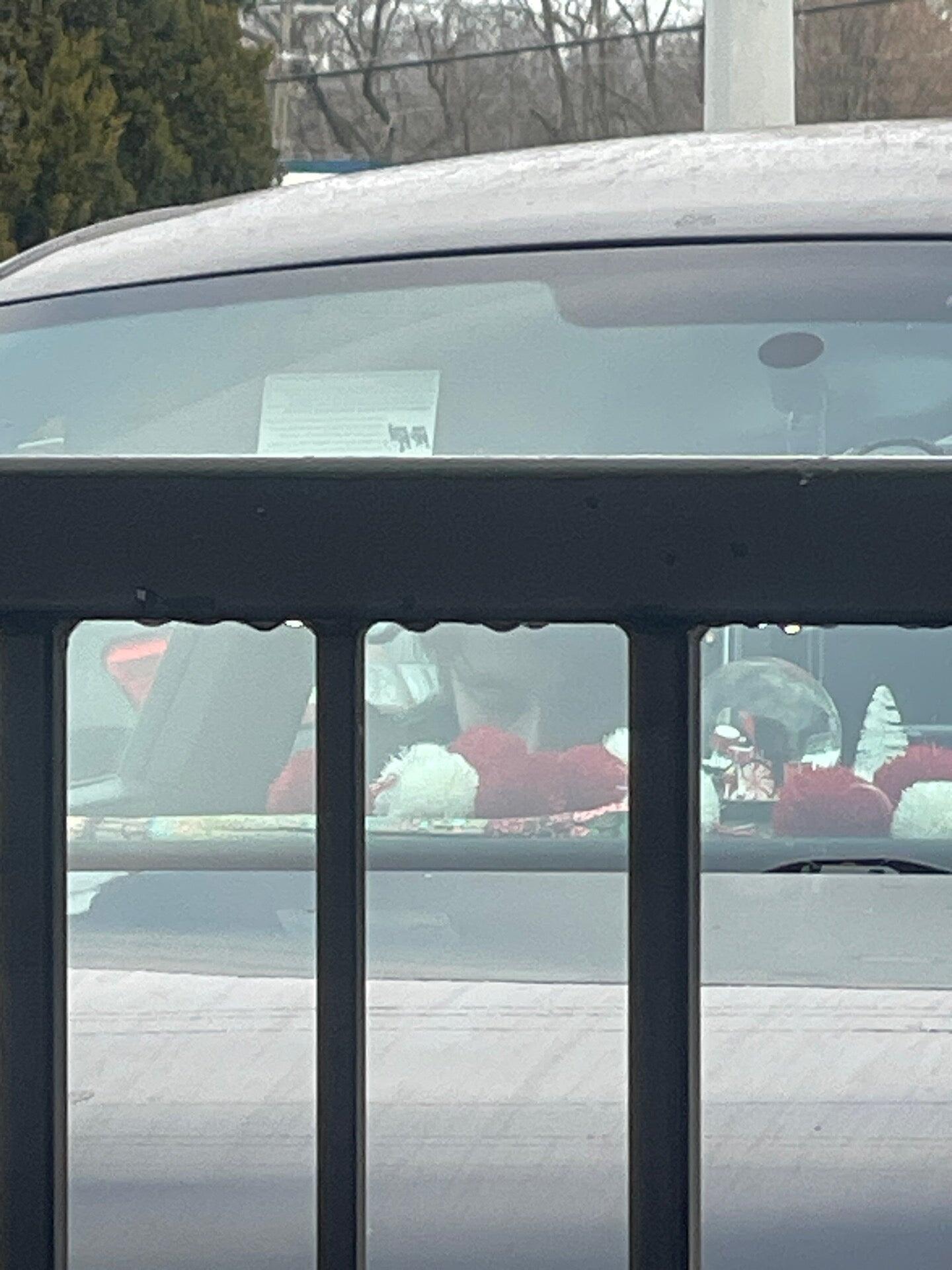 Photo credit: nextdoor