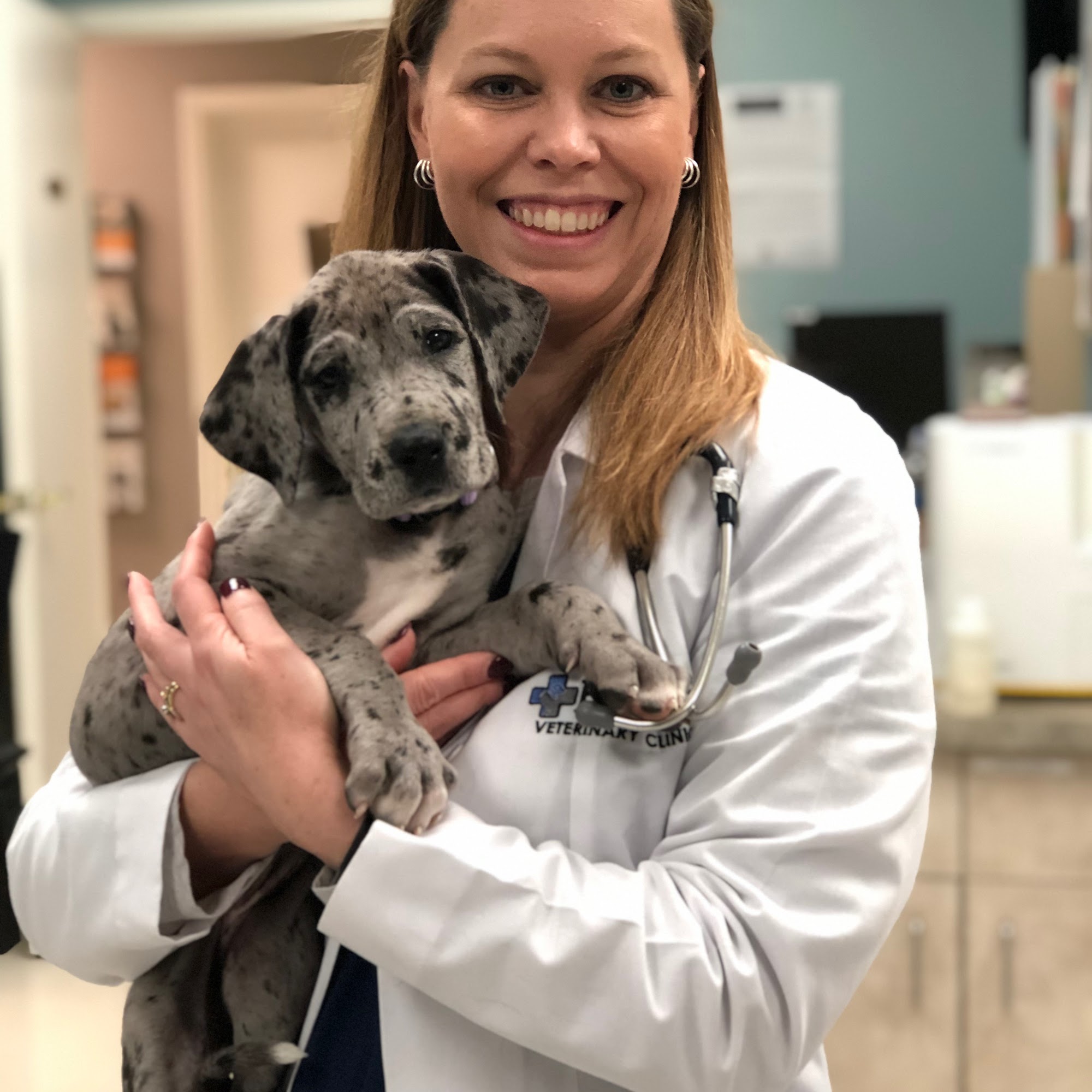 Banks Veterinary Clinic Lexington