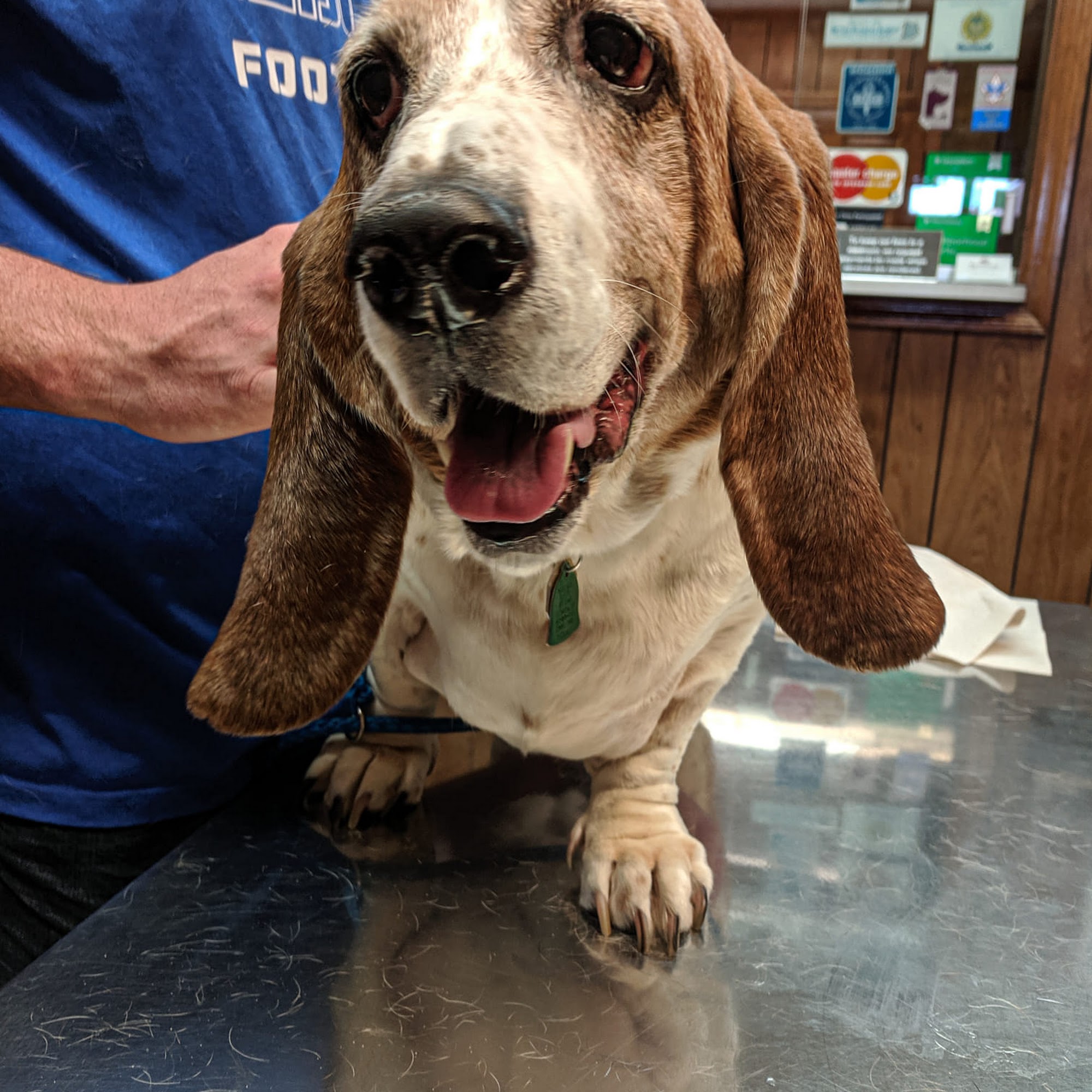 Fayette Veterinary Clinic Lexington