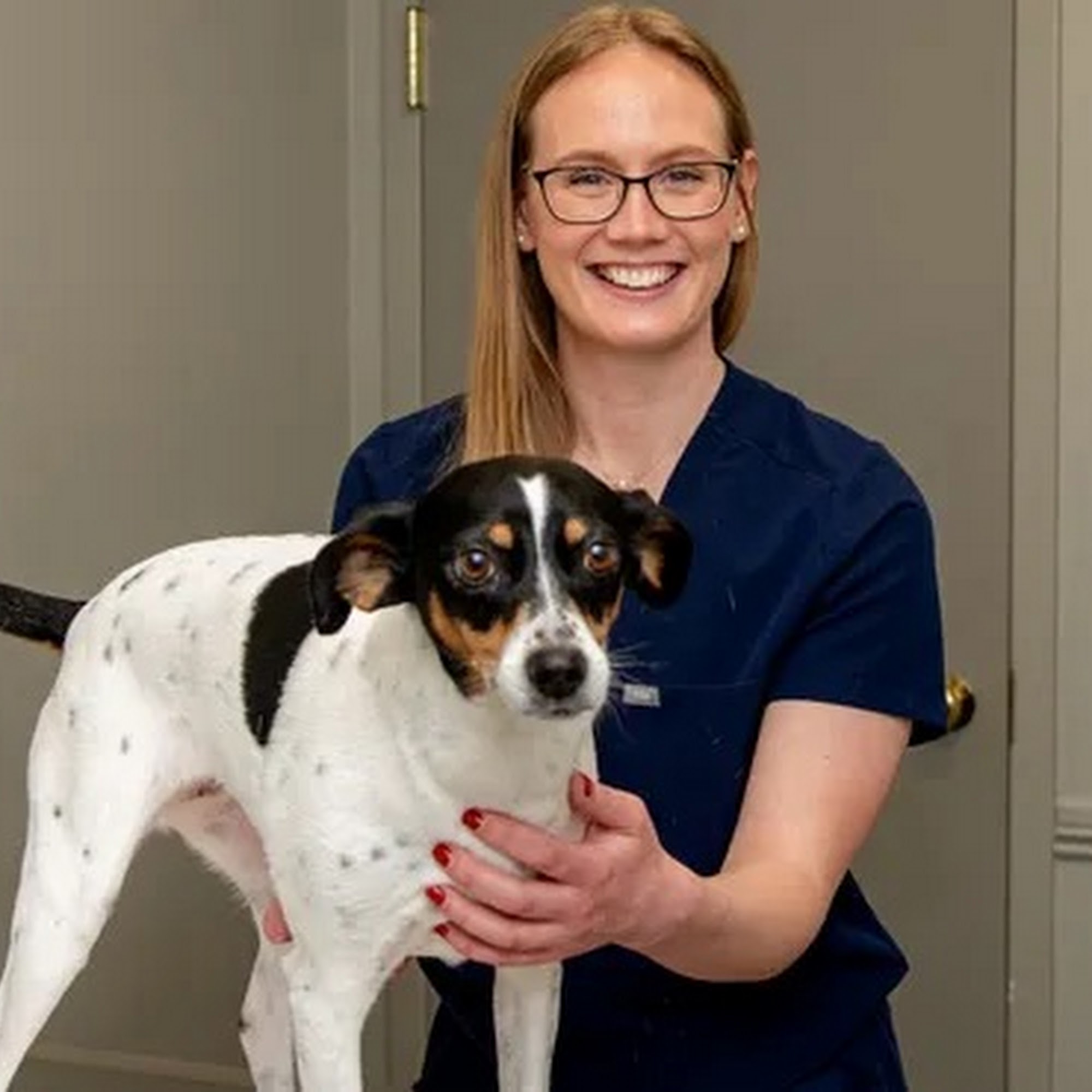 Tates Creek Animal Hospital Lexington