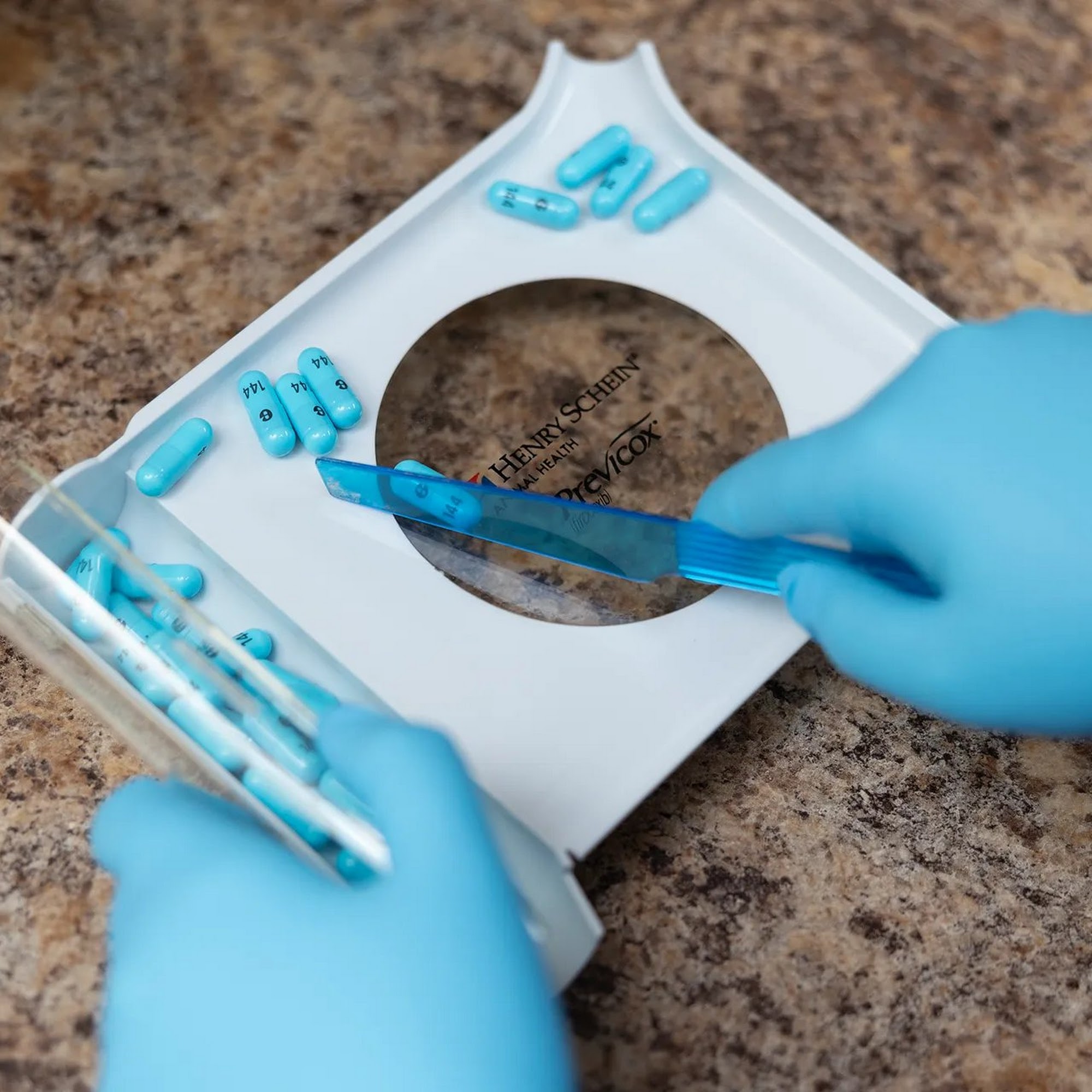 Greentree Animal Hospital Lexington