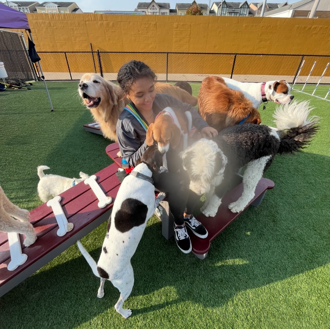 Uptown Hounds Lexington