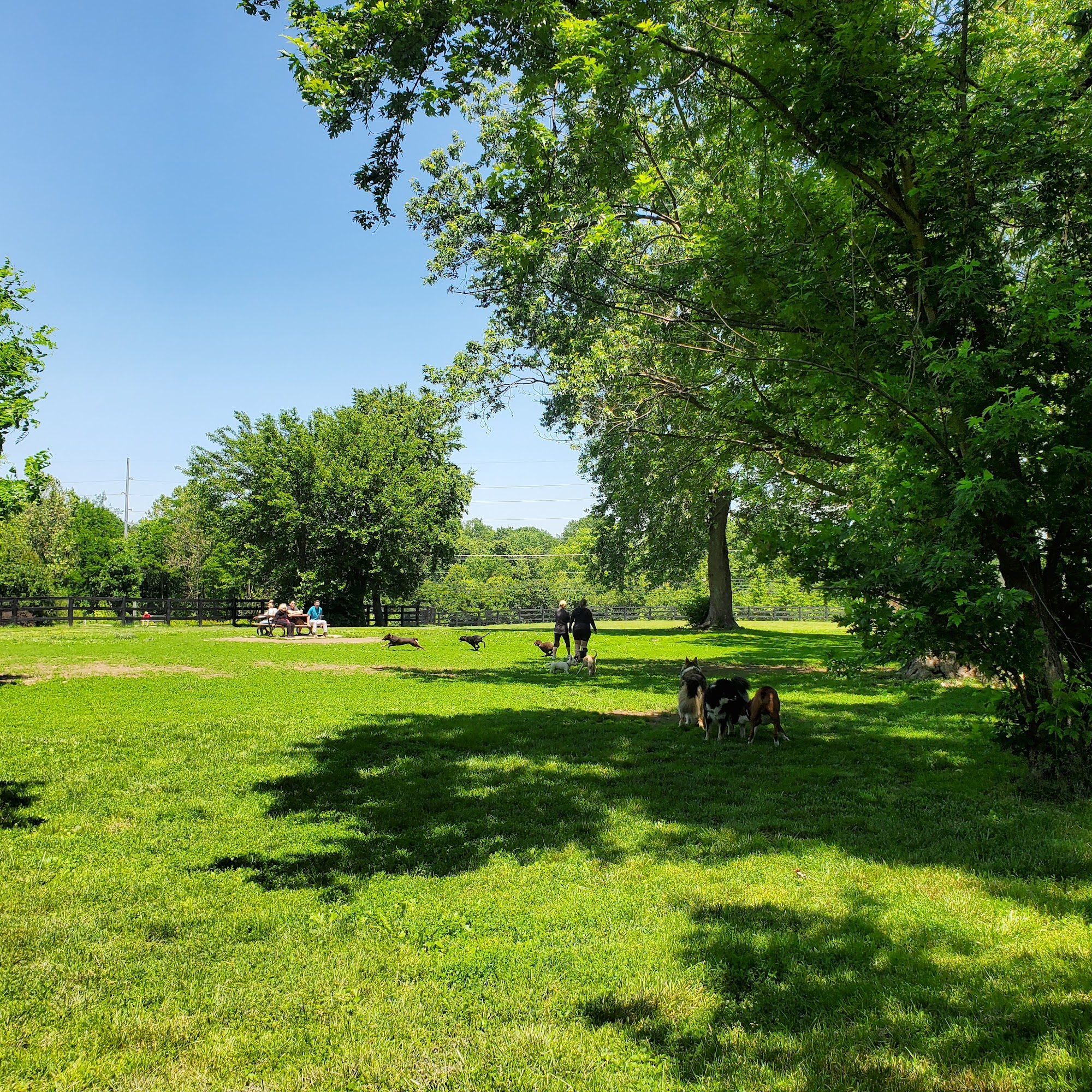 Wellington Park Lexington