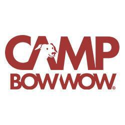 Camp Bow Wow Lexington