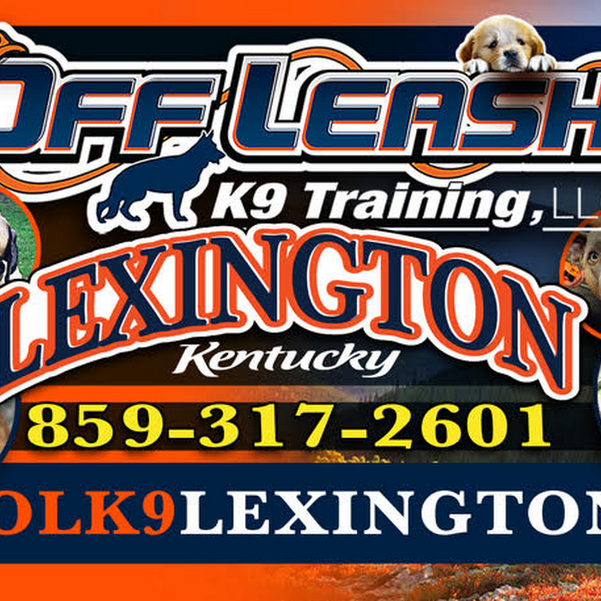 Off Leash K9 Training Lexington Lexington