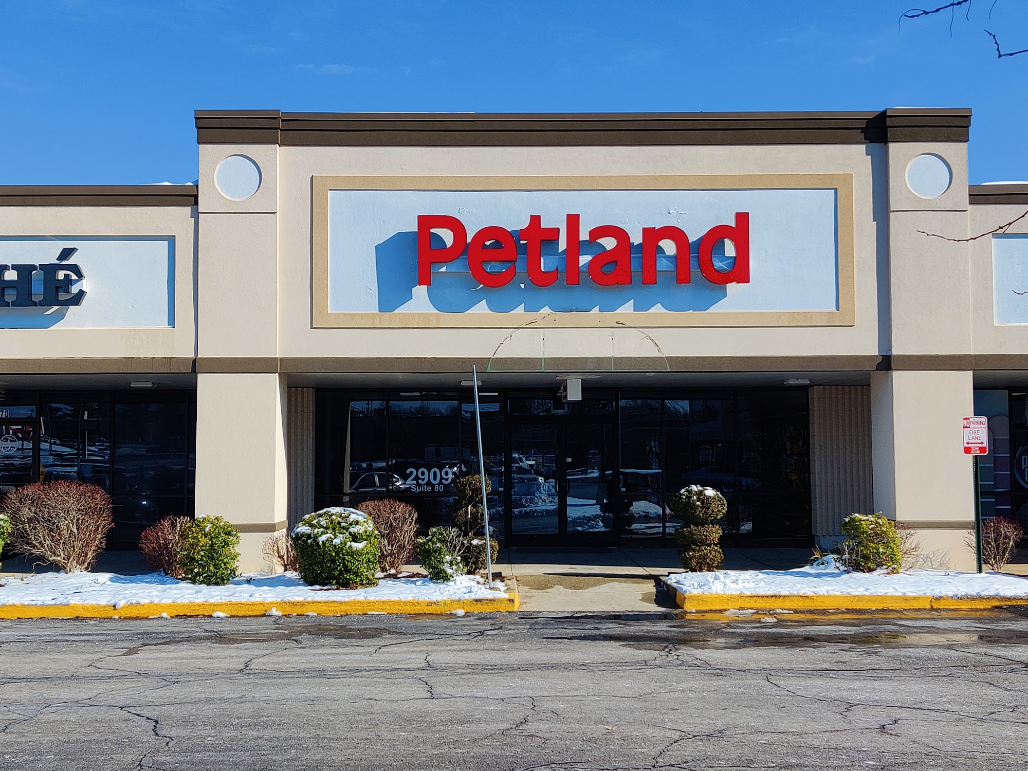 Petland Lexington Lexington