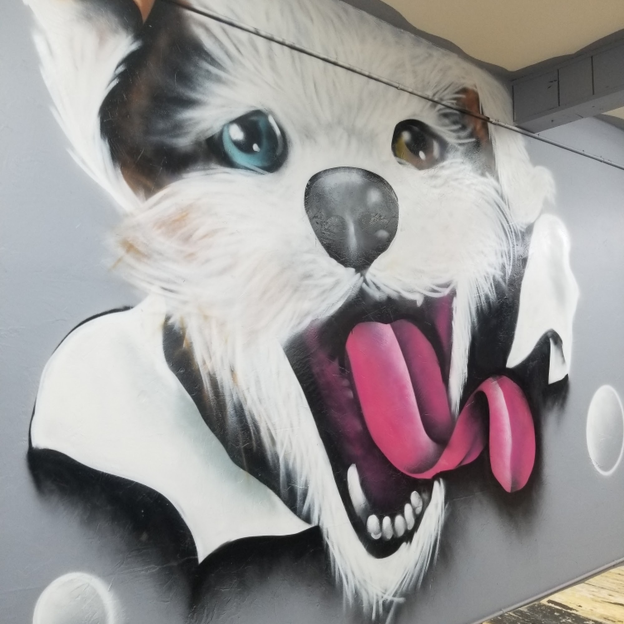 Barks & Bubbles Lexington