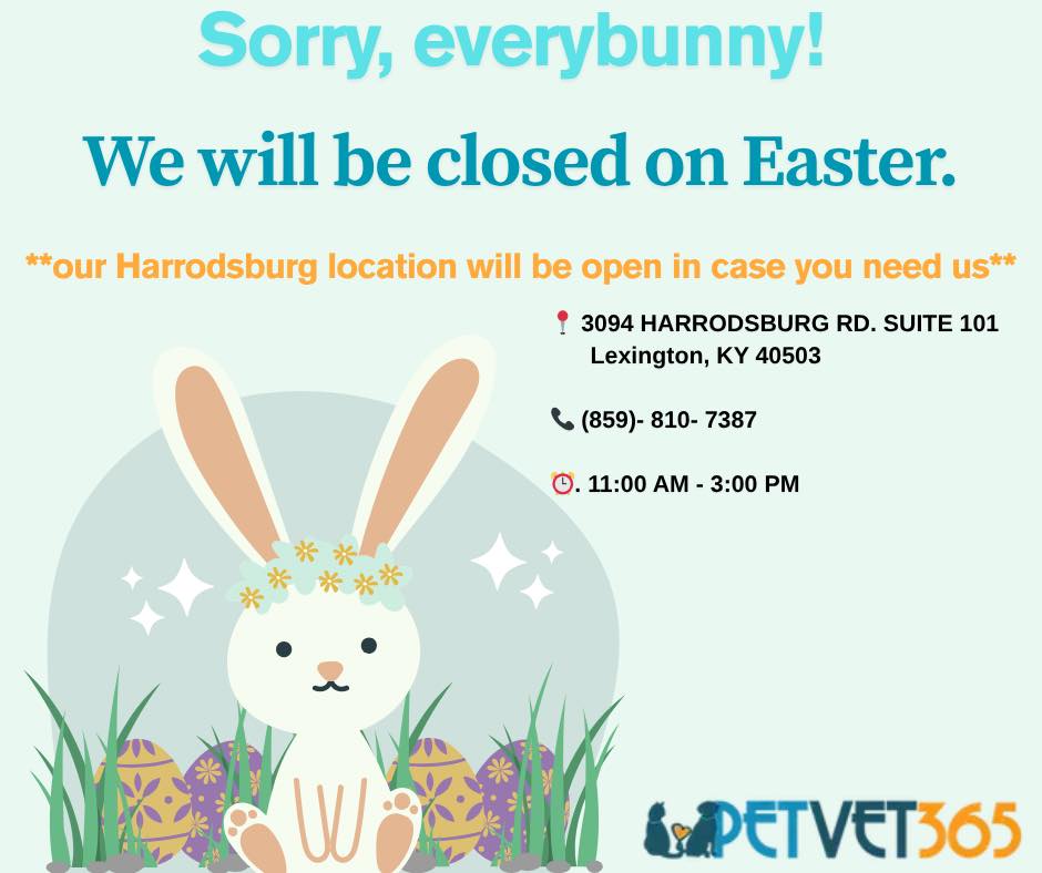 PetVet365 Pet Hospital Lexington/Richmond Rd Lexington