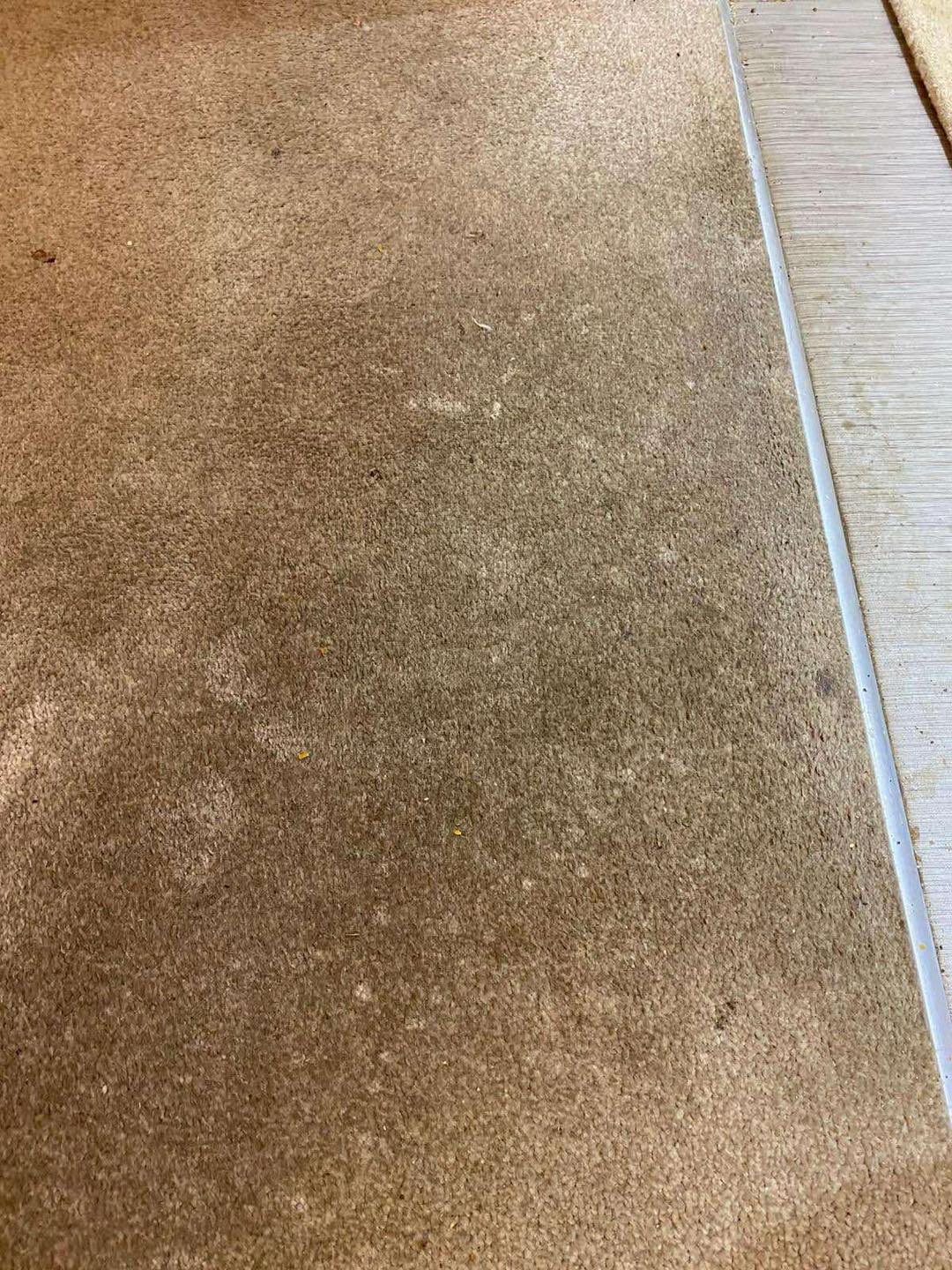 Magic Carpet & Upholstery