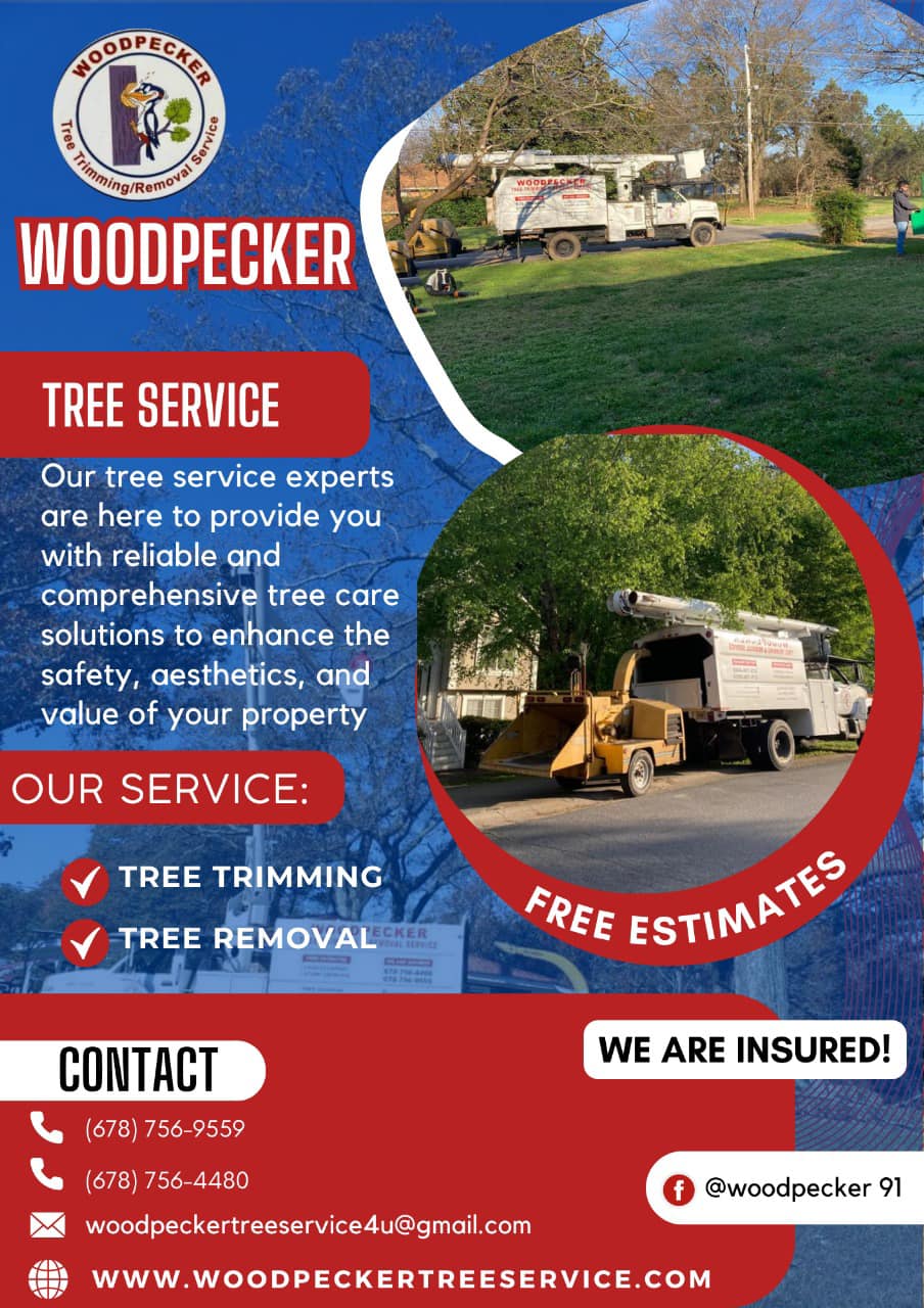 woodpecker tree service llc