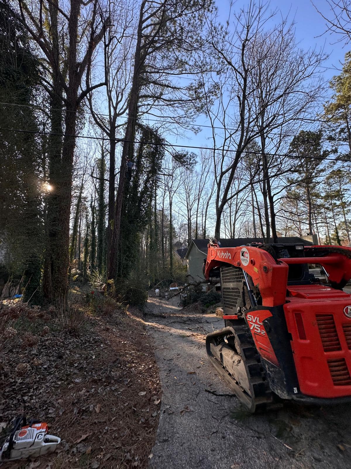 woodpecker tree service llc