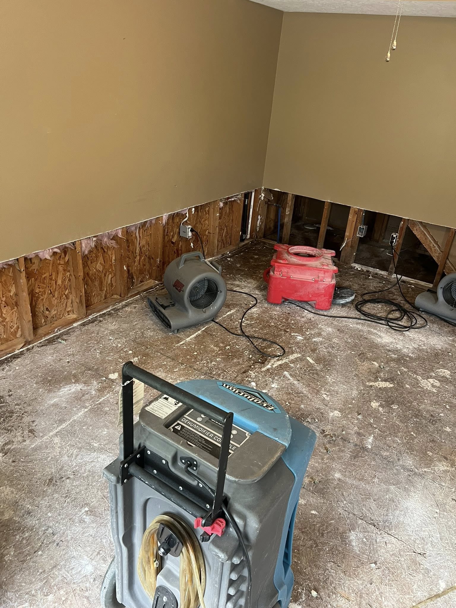 Haul-Gone Junk & Demo