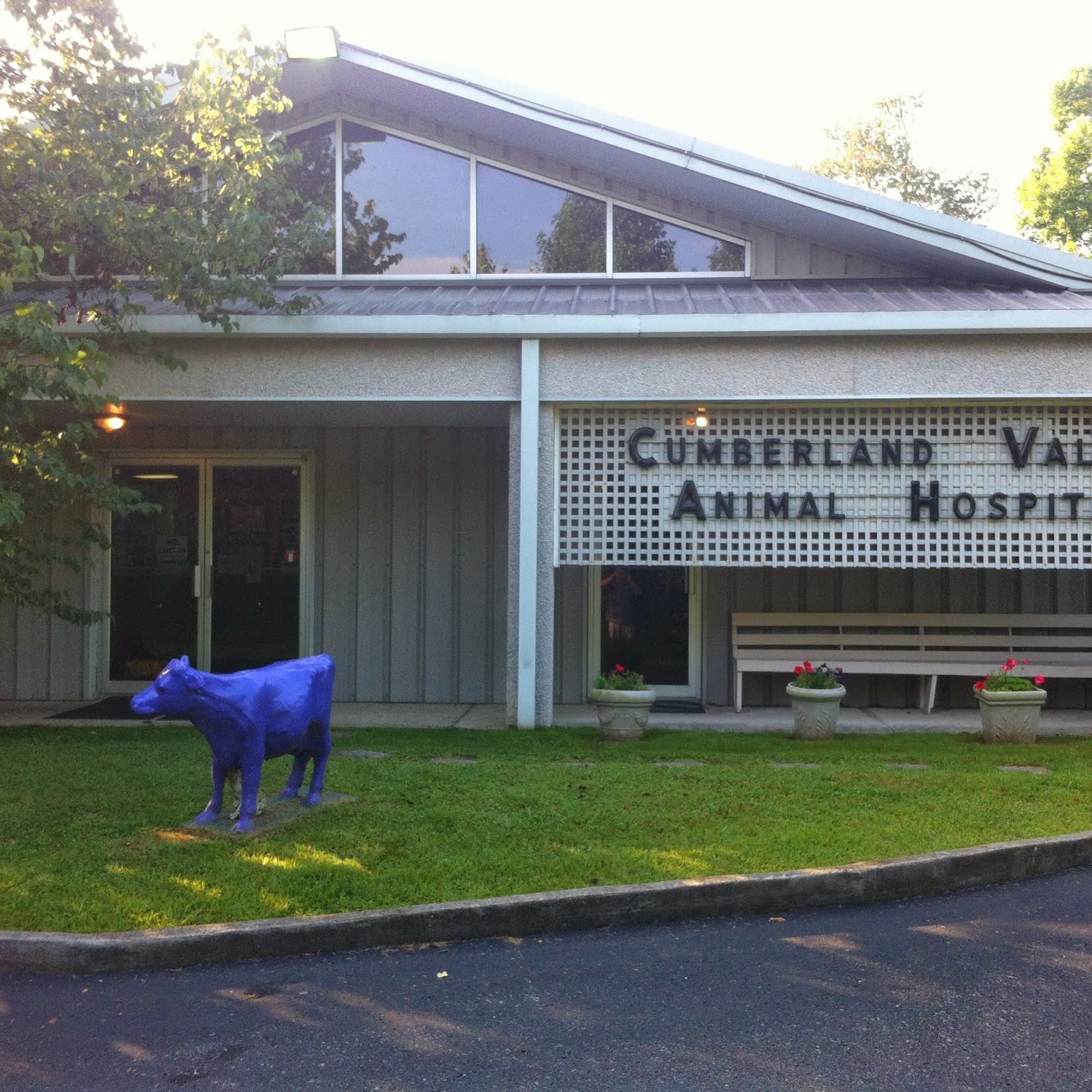 Cumberland Valley Veterinary Services London
