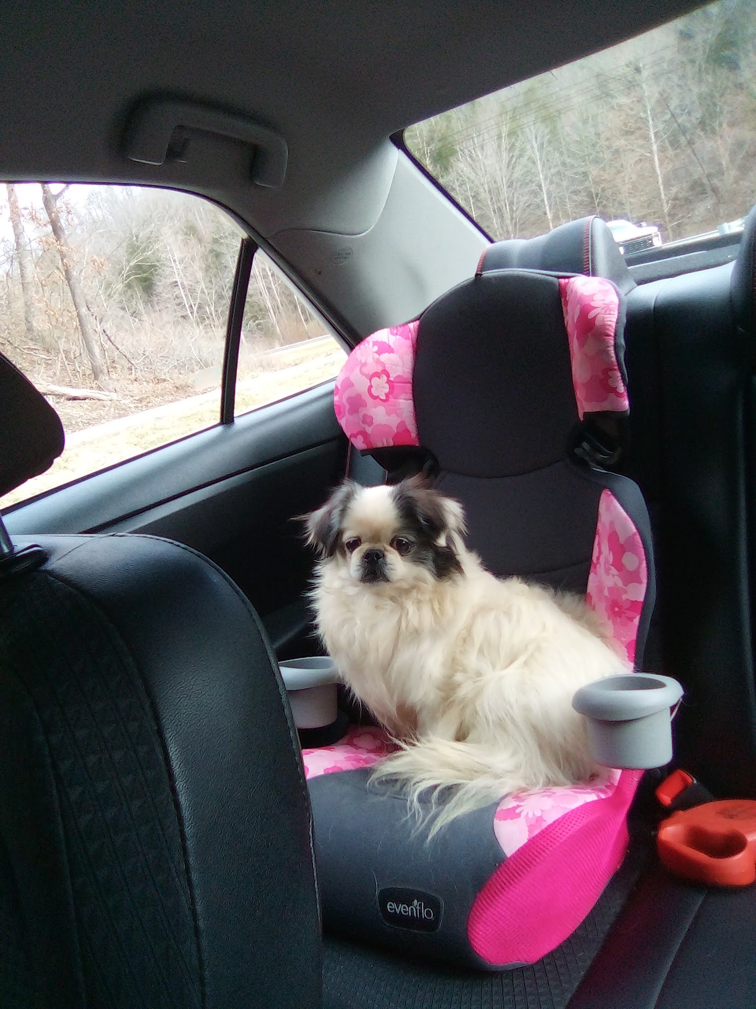 Tri-County Animal Clinic Louisa