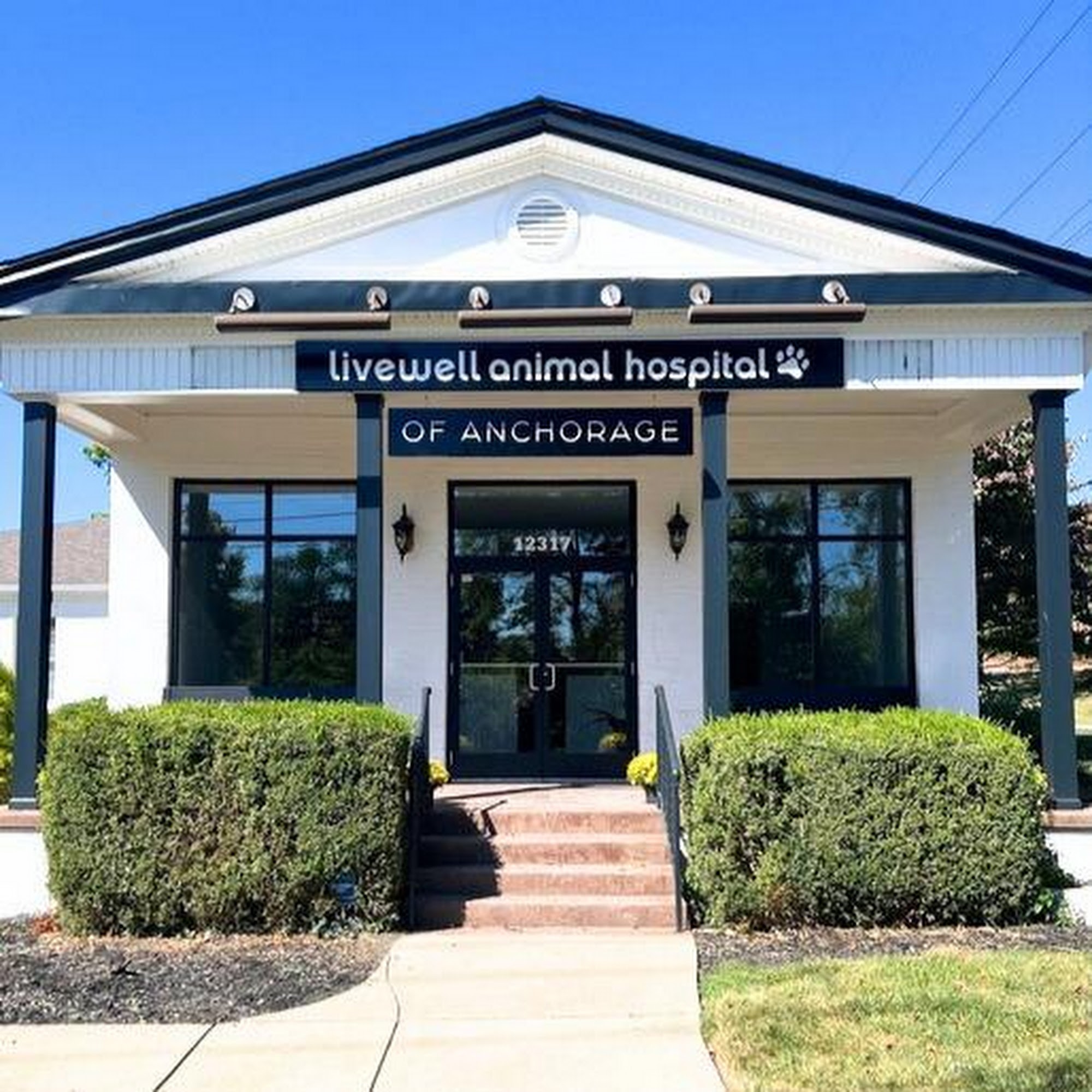 Anchorage Animal Hospital Louisville