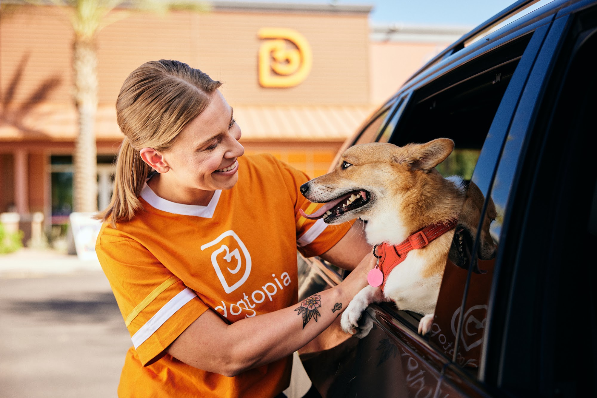 Dogtopia of Louisville-Hurstbourne Louisville