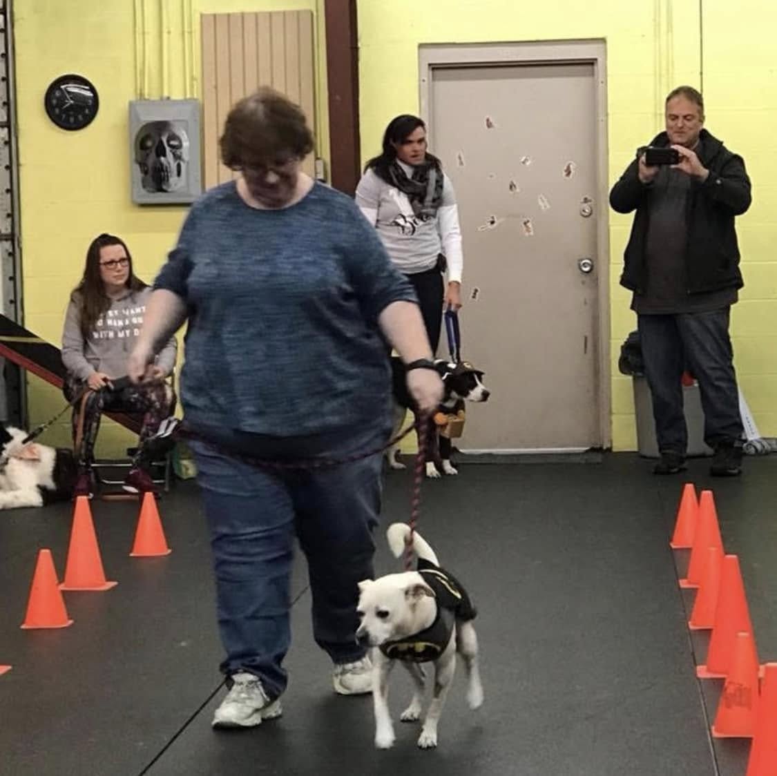 Companion Dog School Louisville