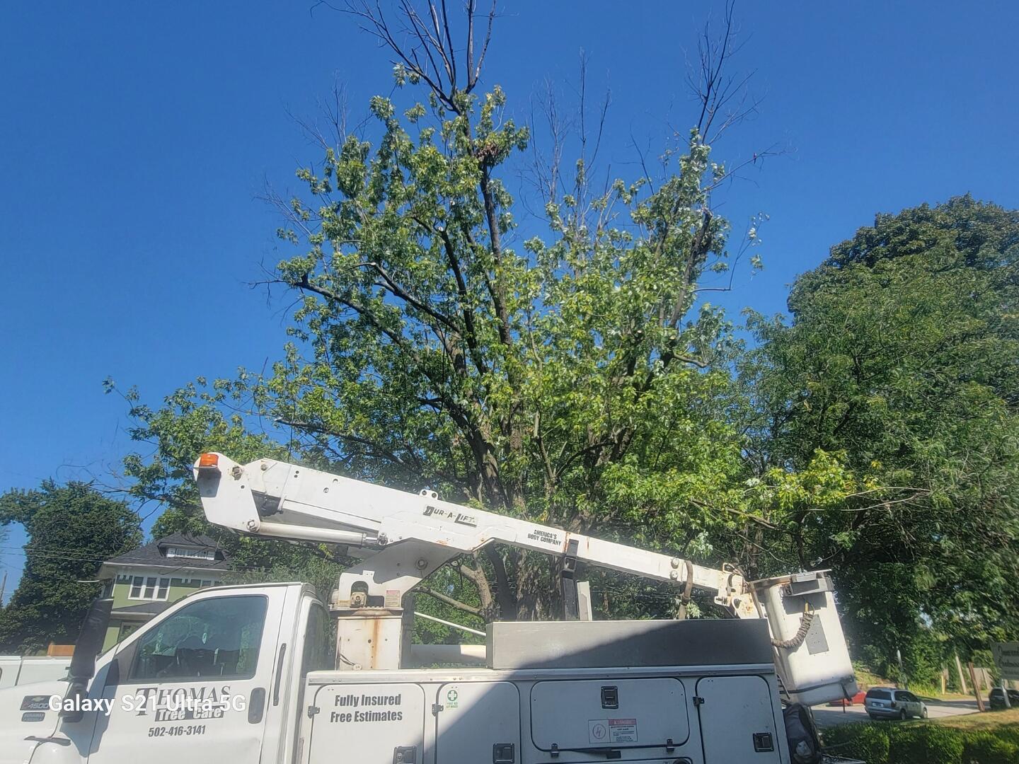 Photo credit: nextdoor