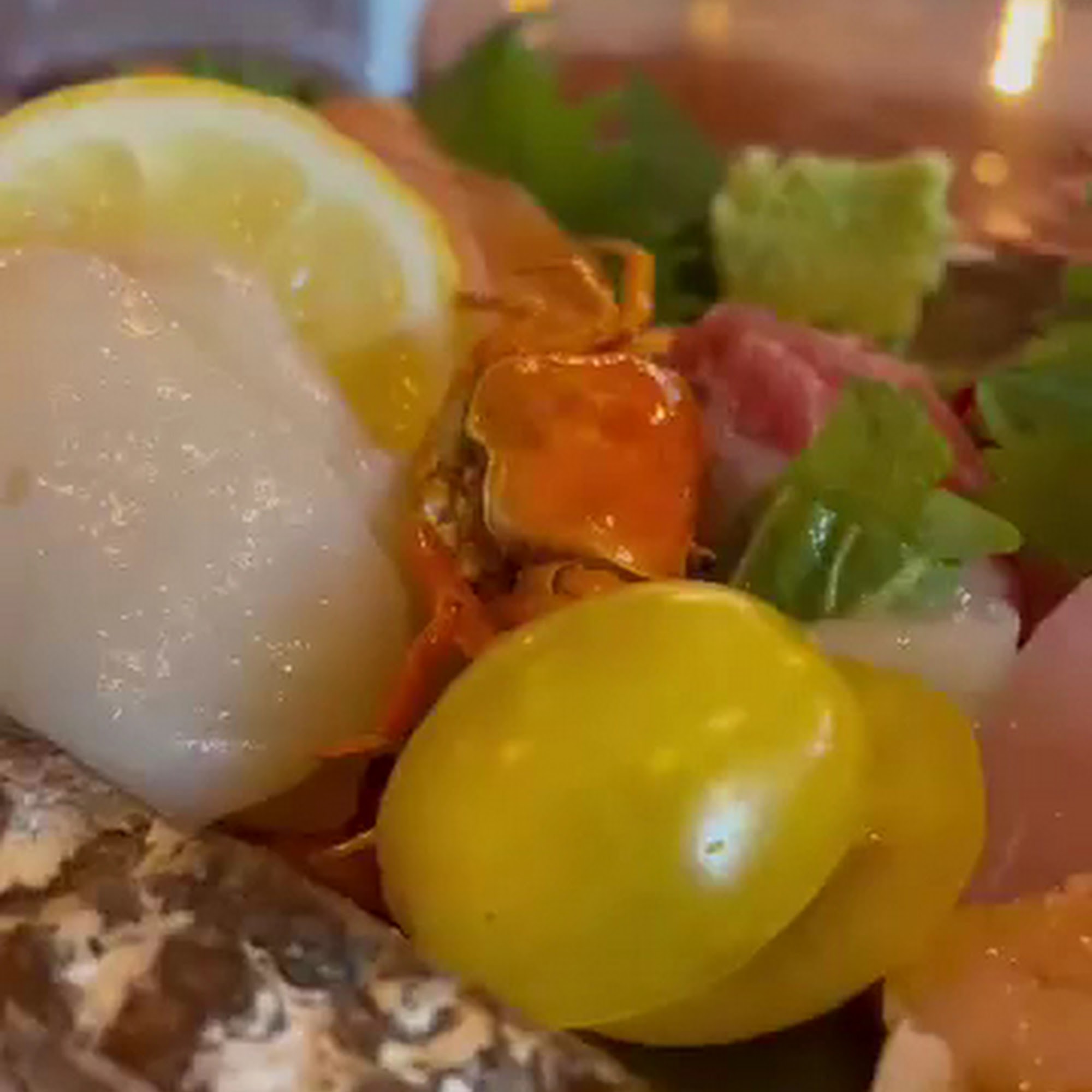 Anko Sushi Louisville