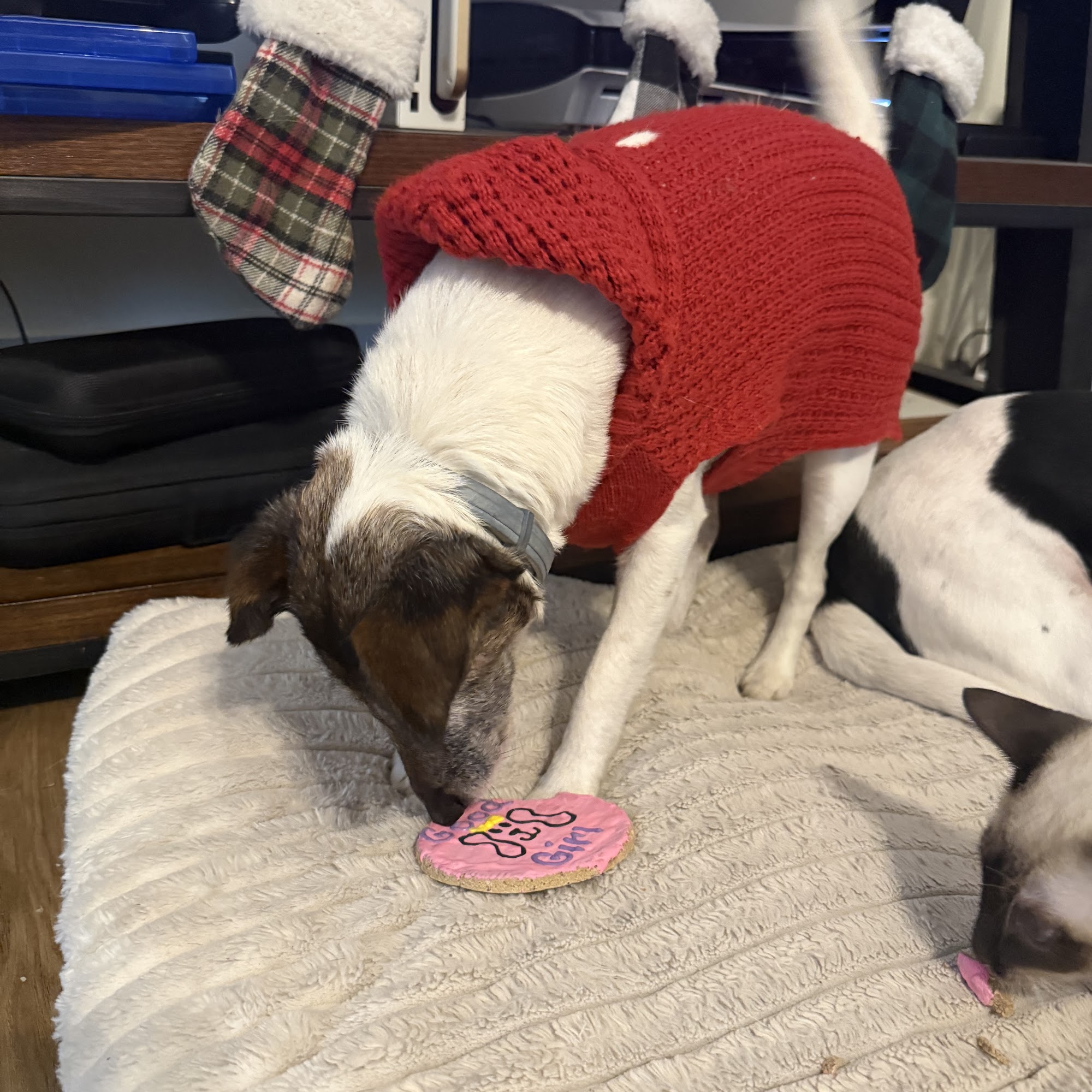 Wigglewow Louisville