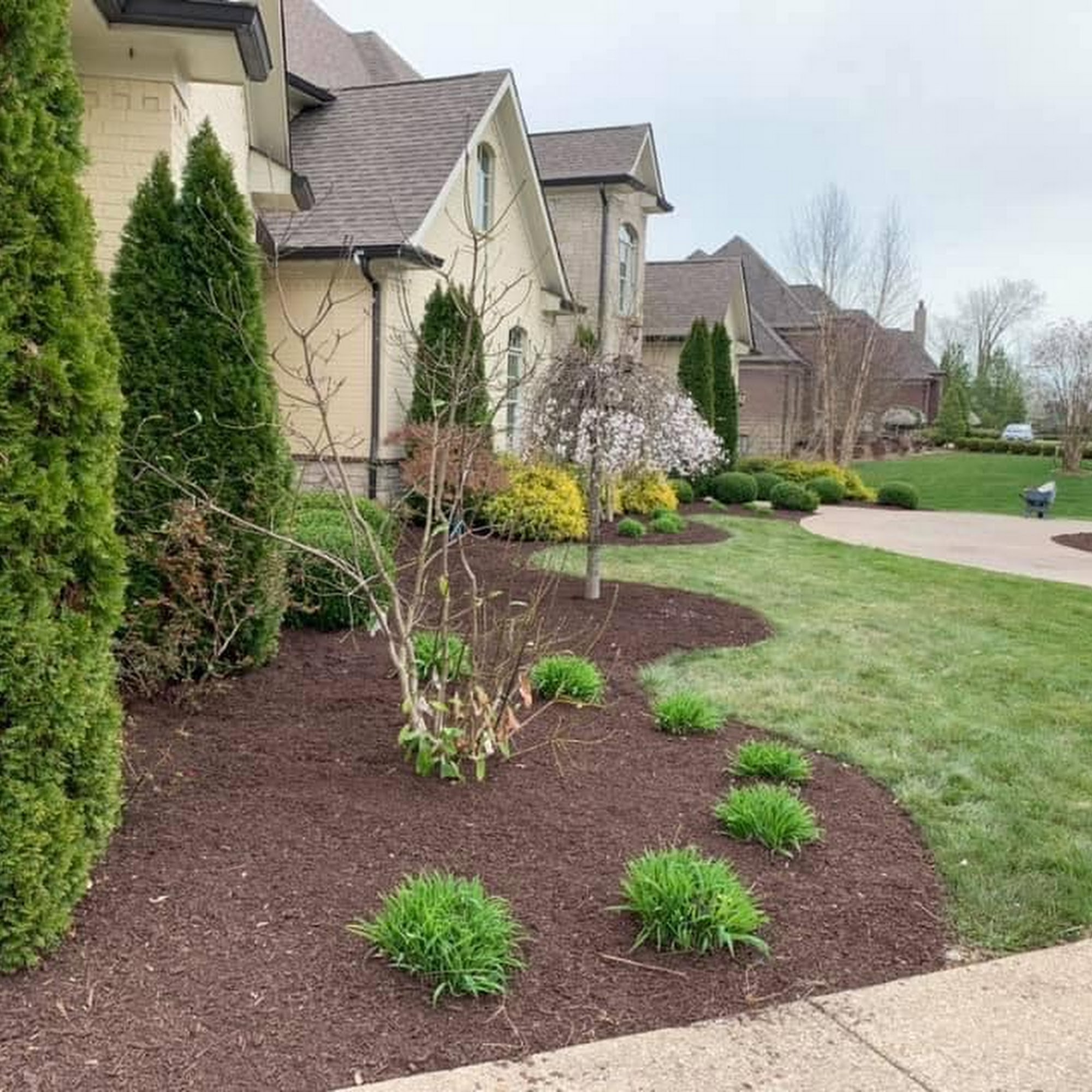 Gray's Lawn Service