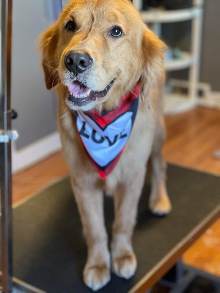 Animal Medical Center of Mayfield Mayfield