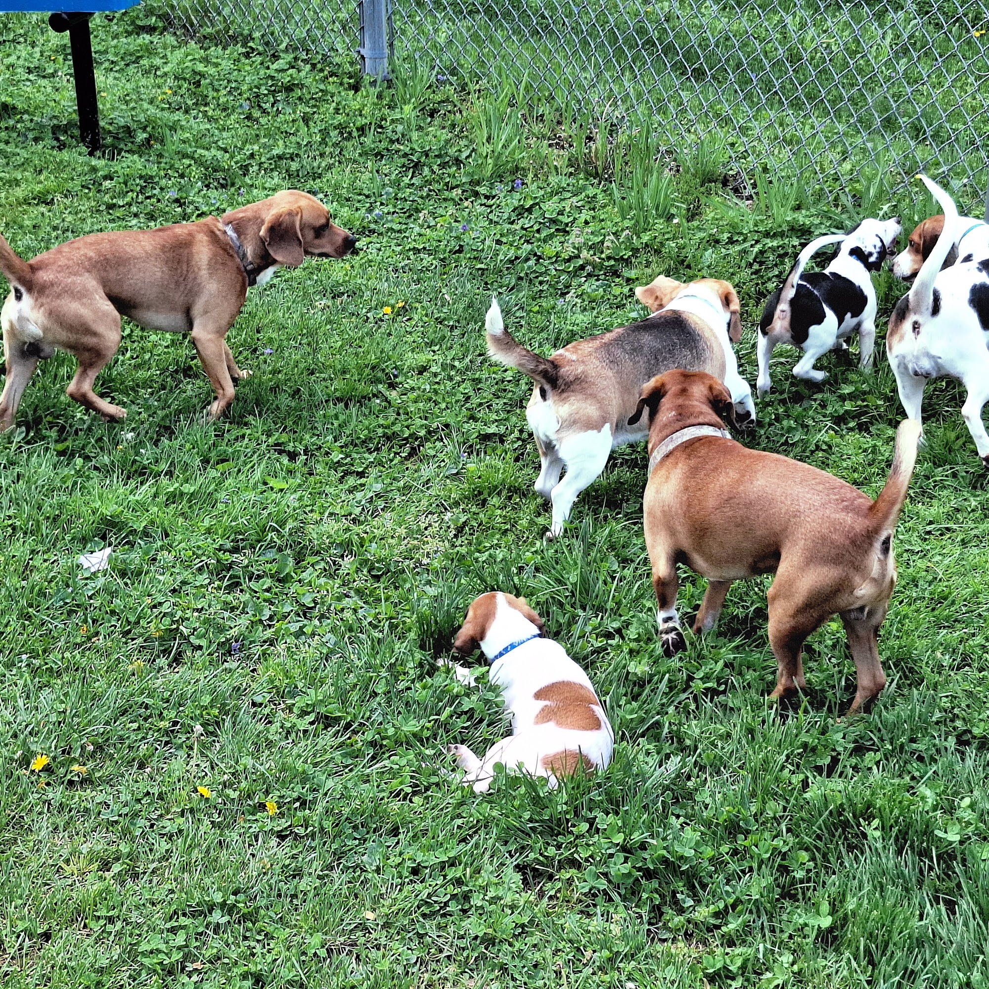 Colonial Heights Veterinary Clinic Maysville