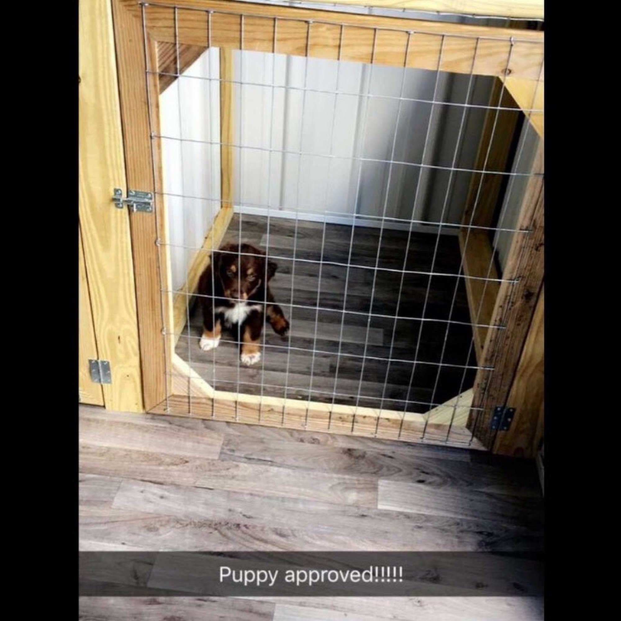 Paw Paw's Puppy Pad LLC Maysville